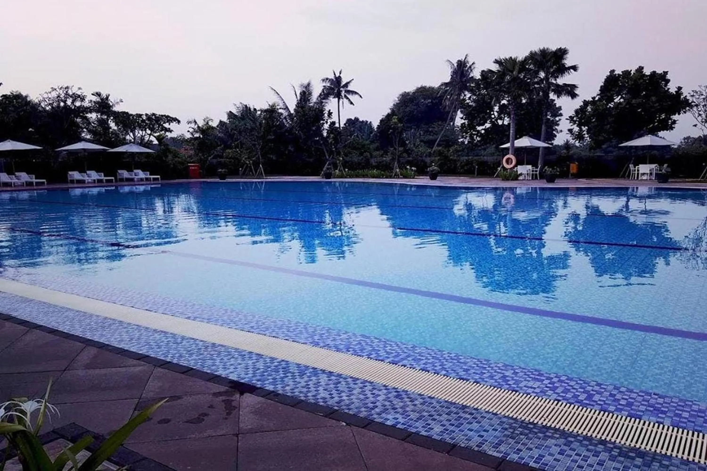 Swimming pool in Barata Residence Aeropolis