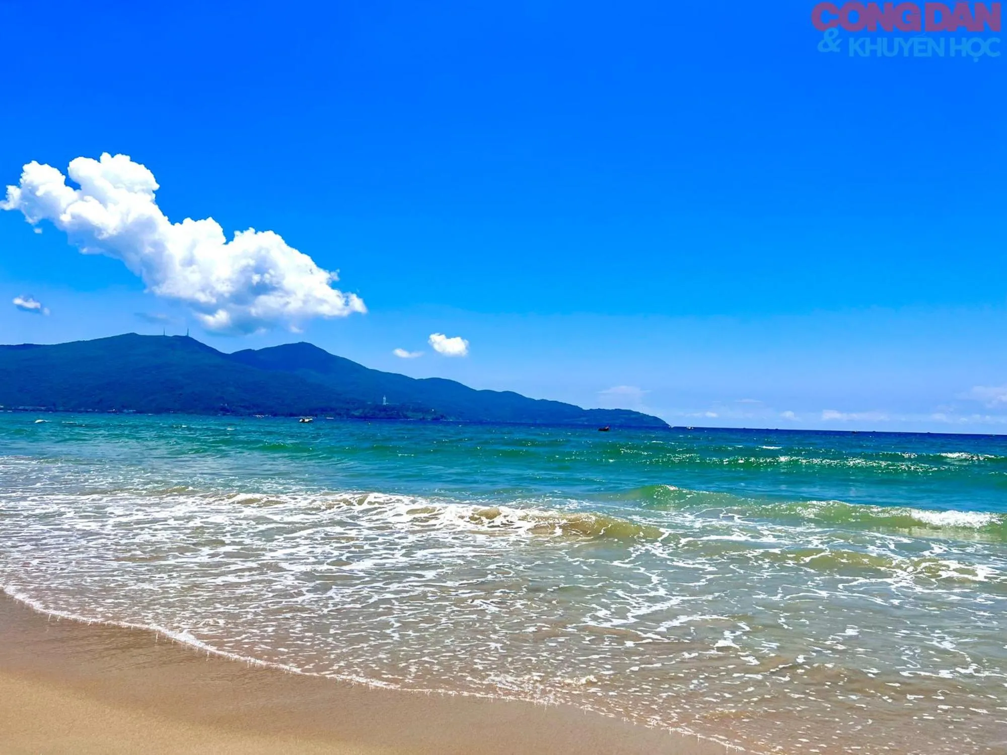 Beach in Sea Castle Hotel