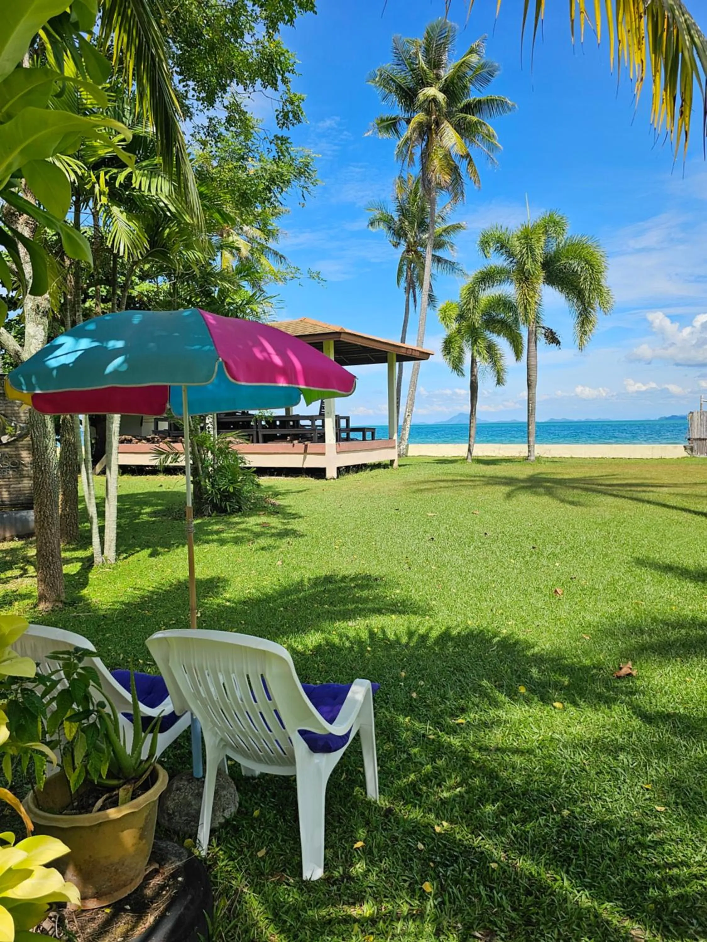 Garden in Lanta MP Place