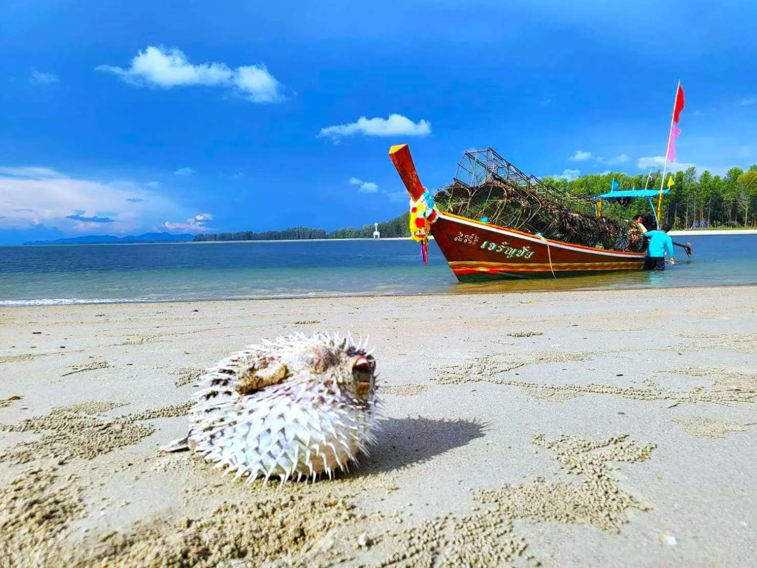 Day in Lanta MP Place