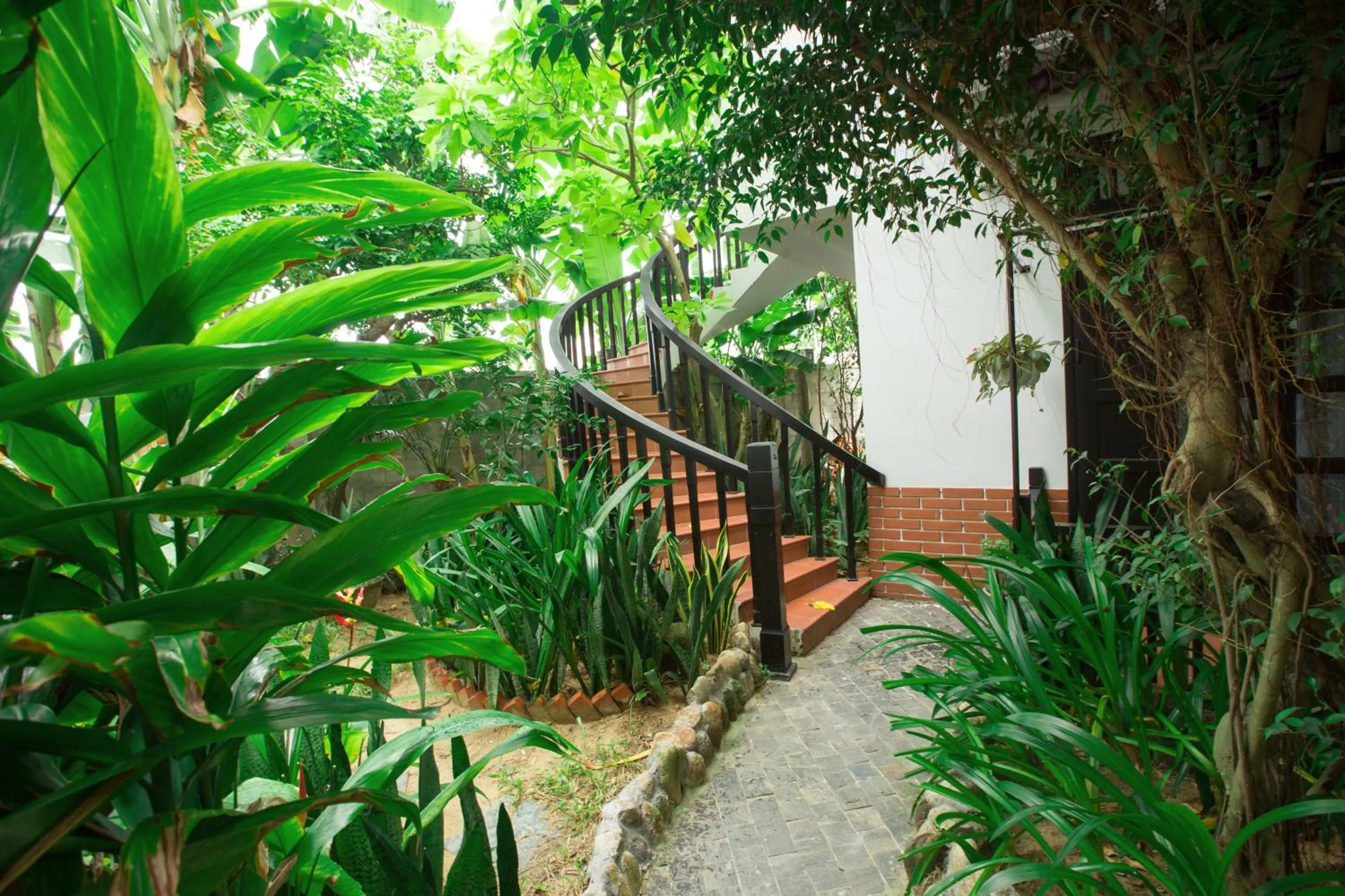 Garden in East West Villa