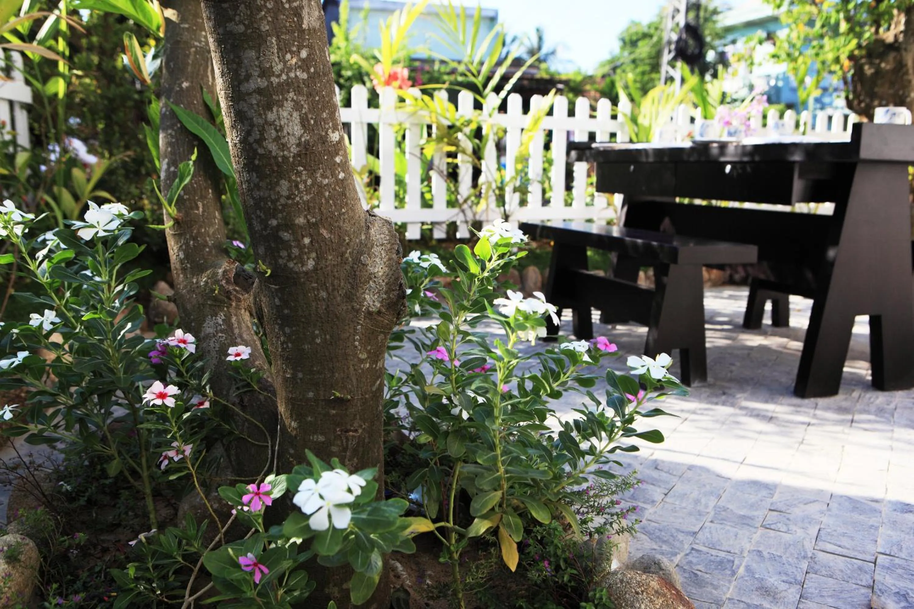 Restaurant/places to eat in East West Villa