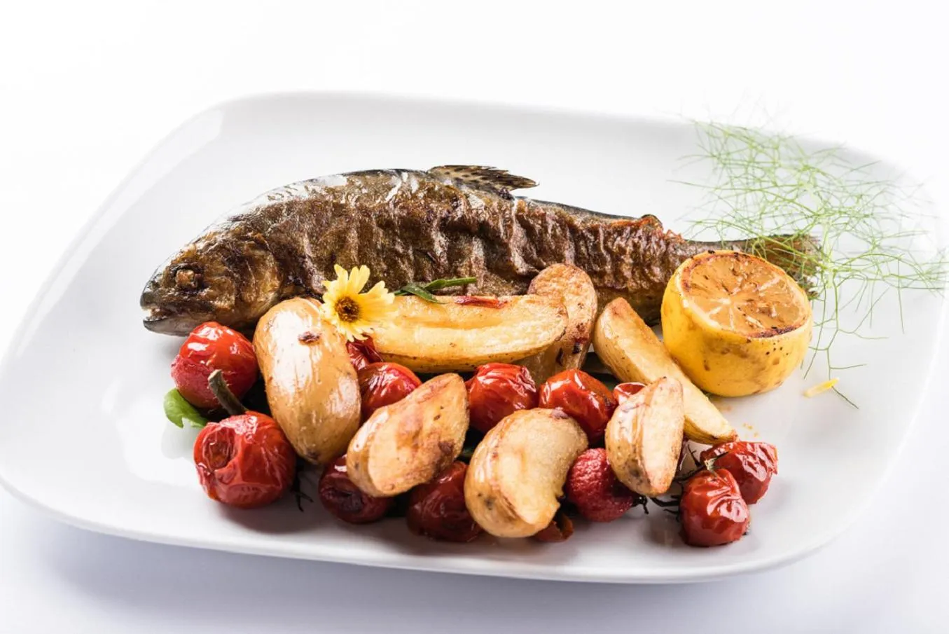 Food and drinks in Guesthouse Bistra