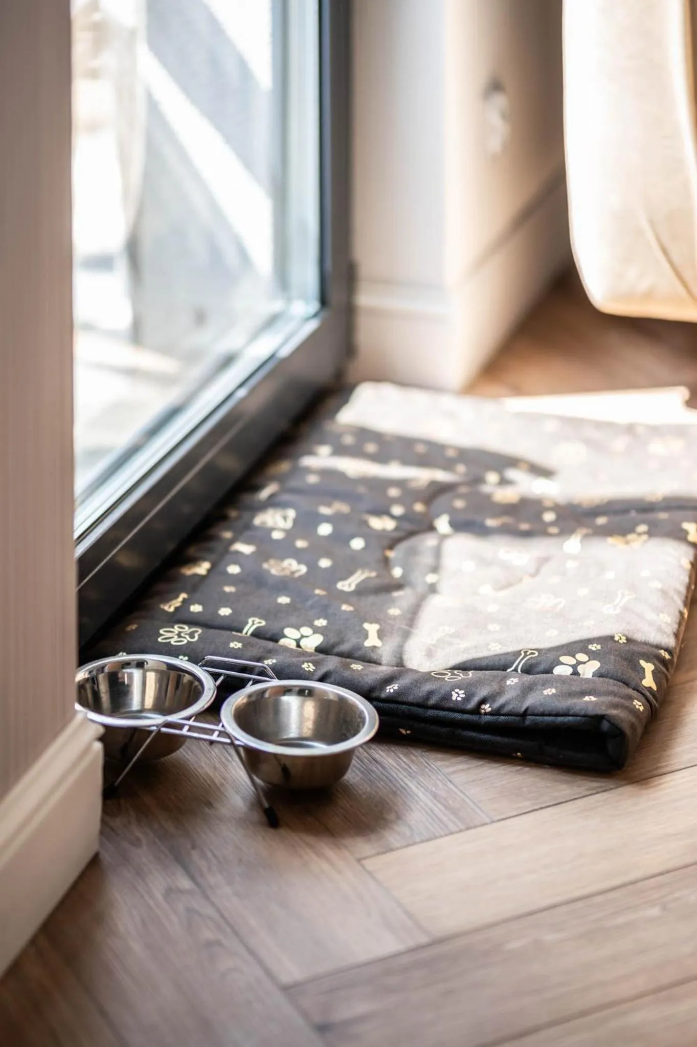 Pets in Promocje Amber Park Spa