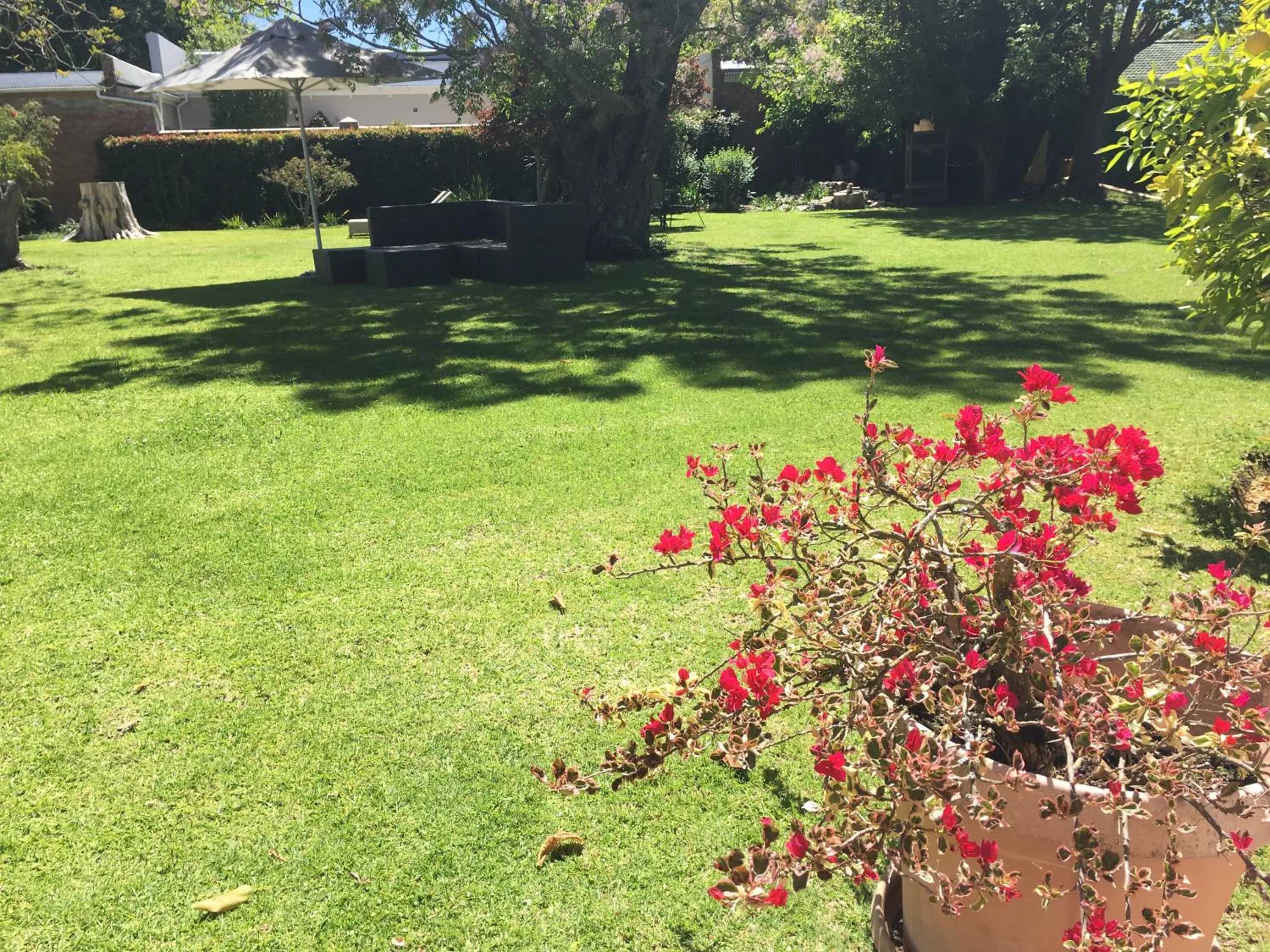 Oude Berg Guesthouse - 10 Caledon Street