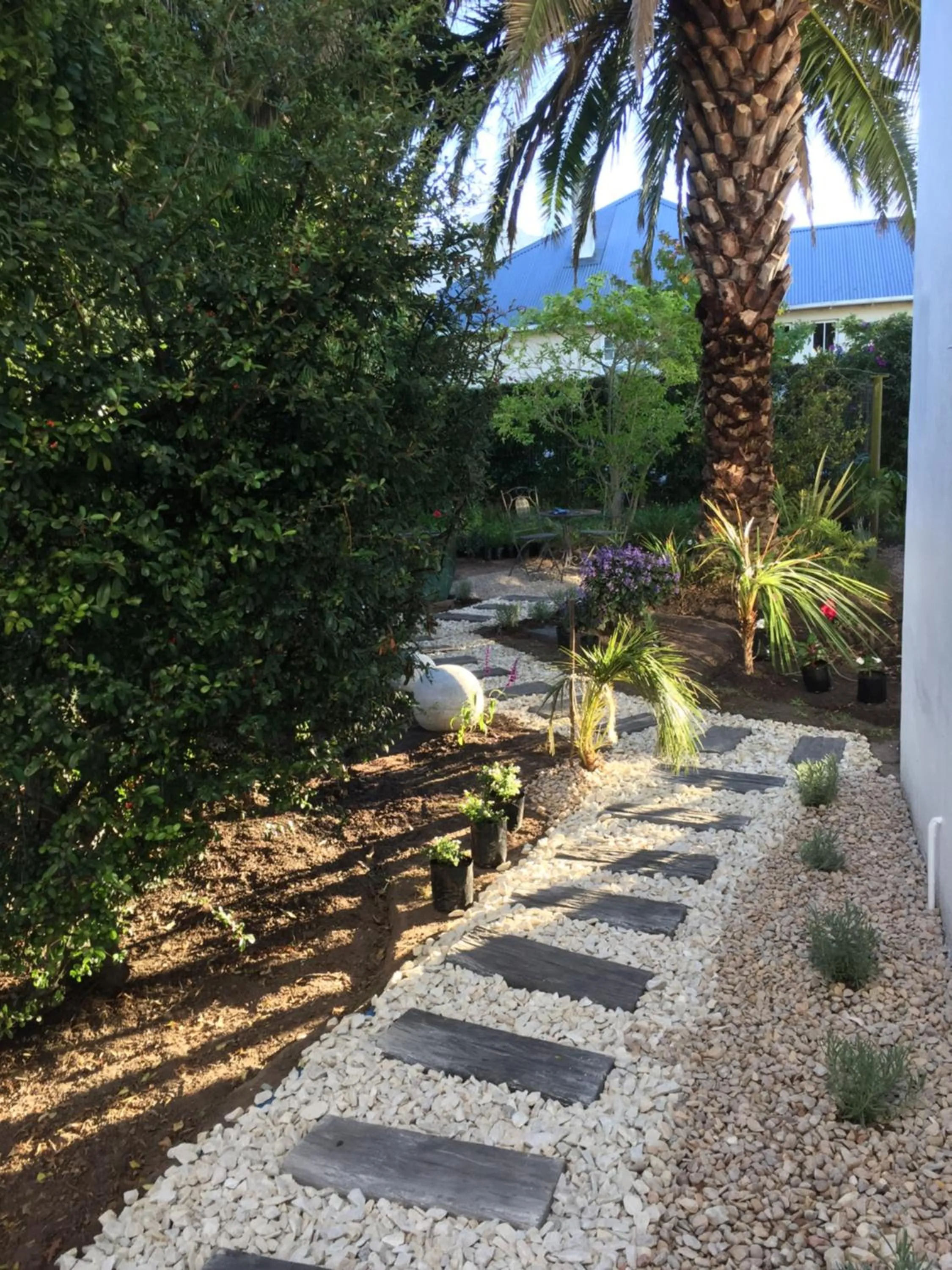 Garden in Oude Berg Guesthouse - 10 Caledon Street