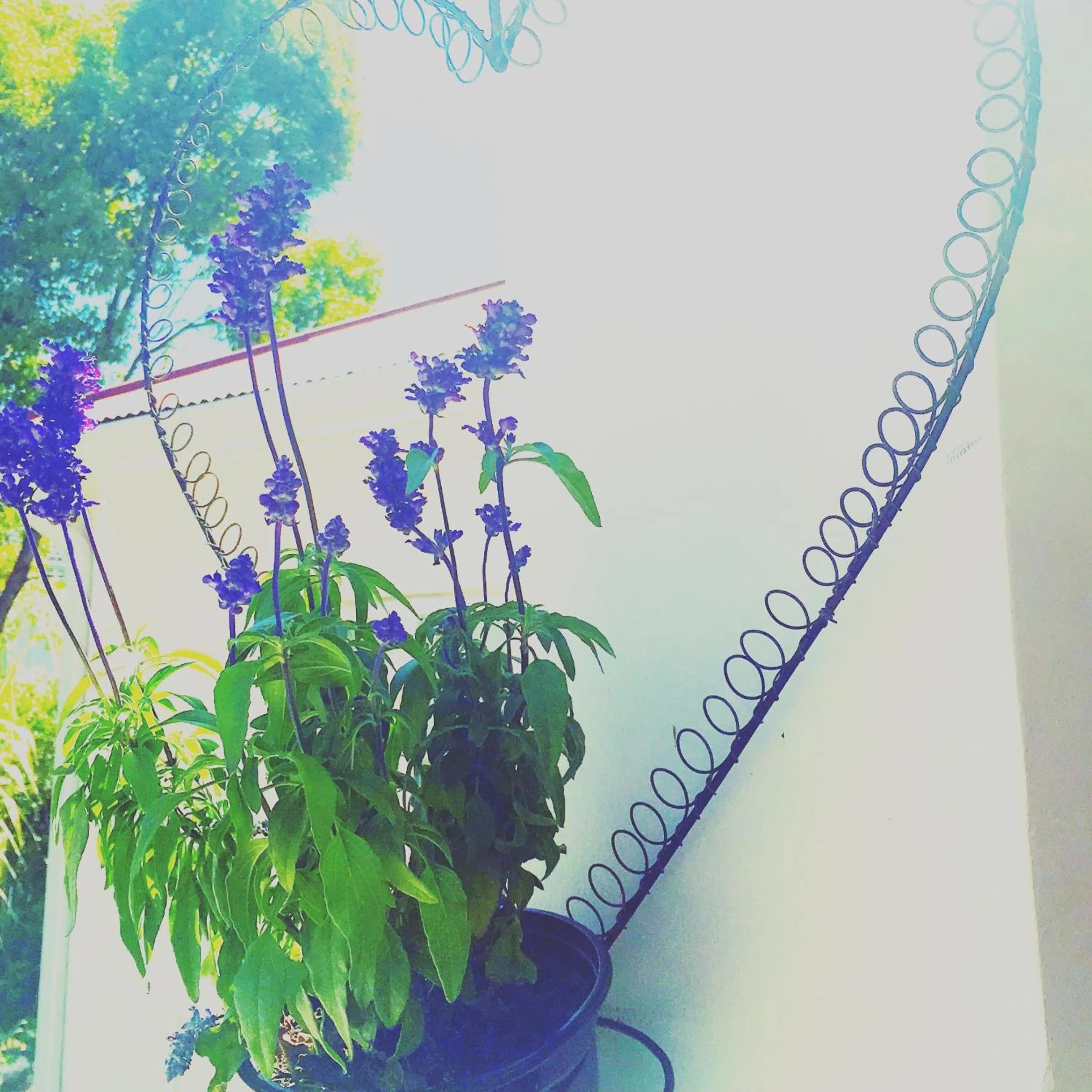 Oude Berg Guesthouse - 10 Caledon Street