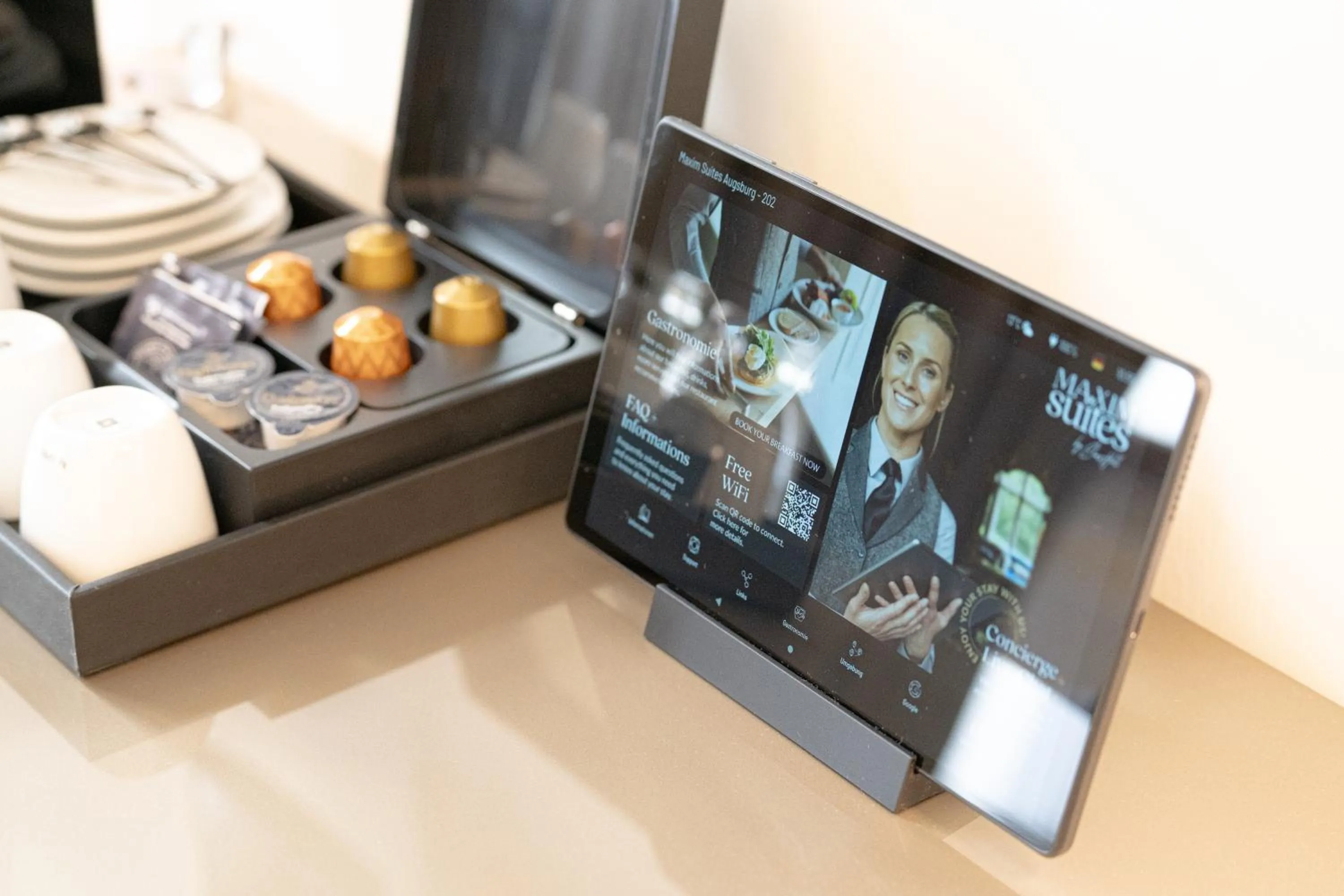 TV and multimedia in Maxim Suites by Elias Holl