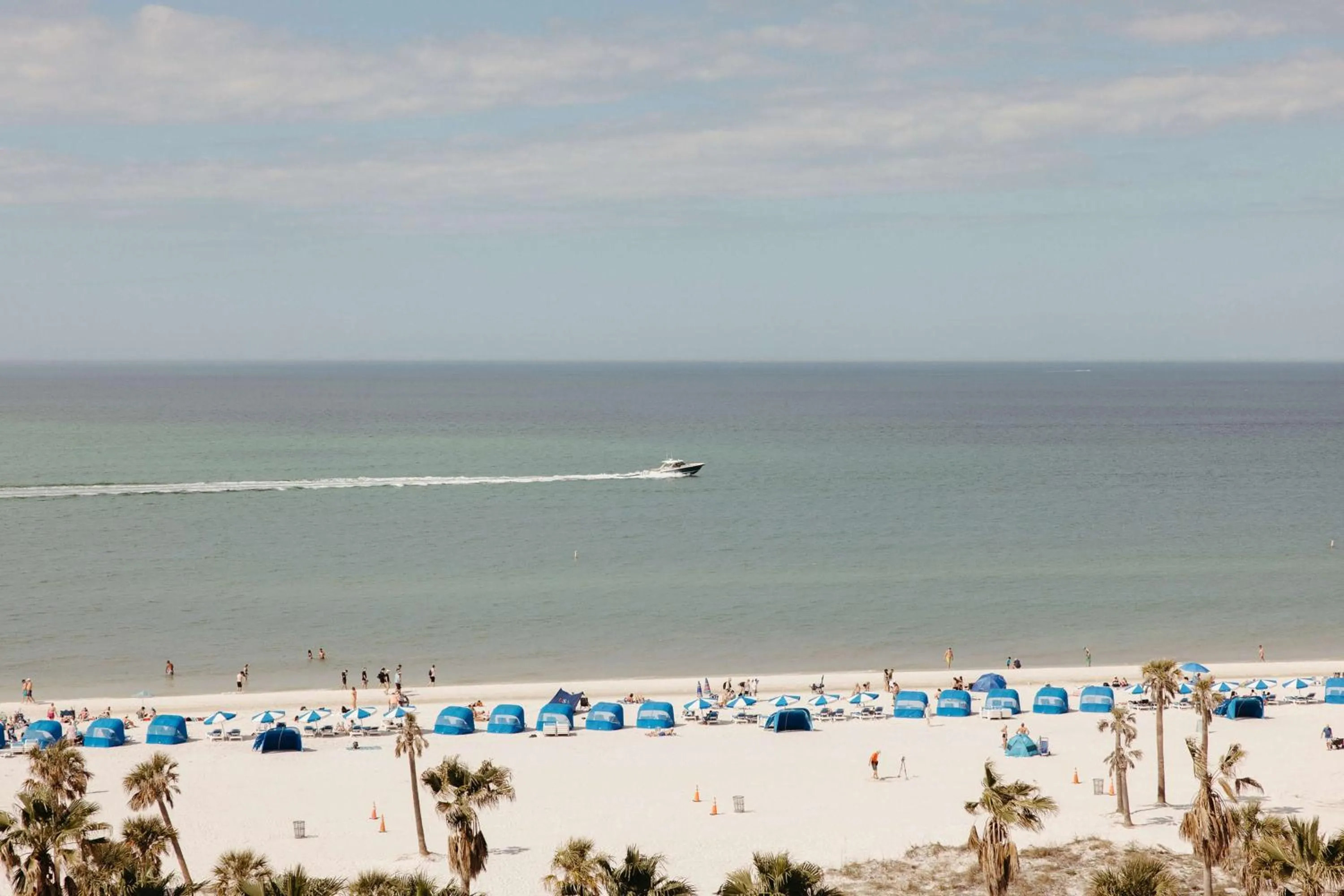 Beach in The Hiatus Clearwater Beach, Curio Collection By Hilton