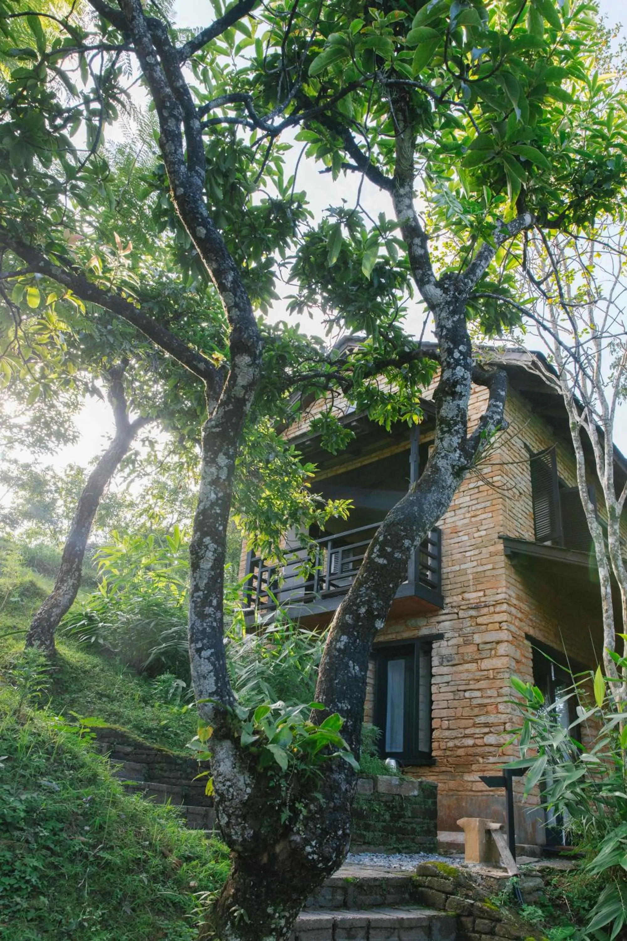 Tiger Mountain Pokhara Lodge