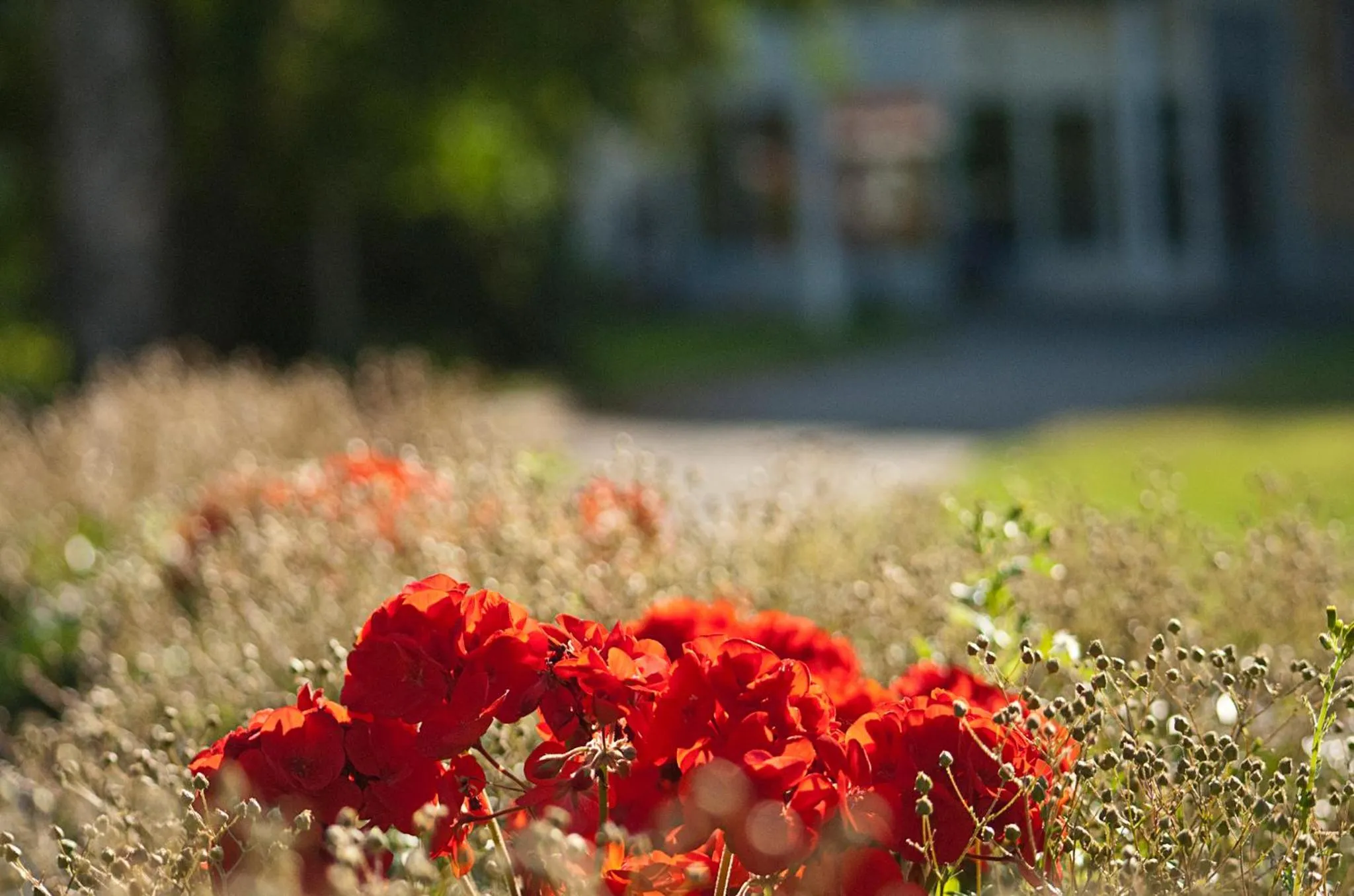 Day in Sunderby folkhögskola Hotell & Konferens
