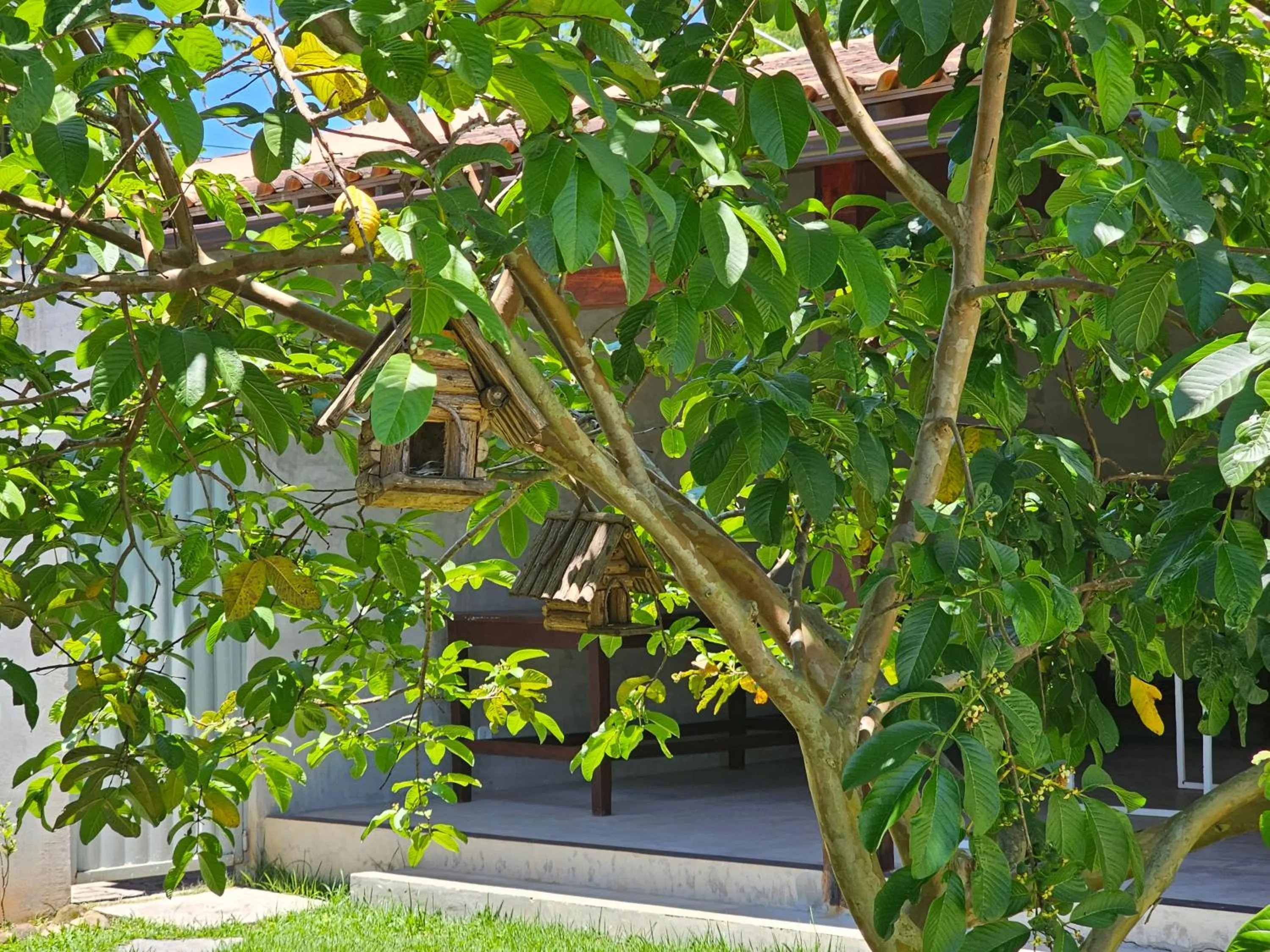 Spring in HOTEL INDIANO