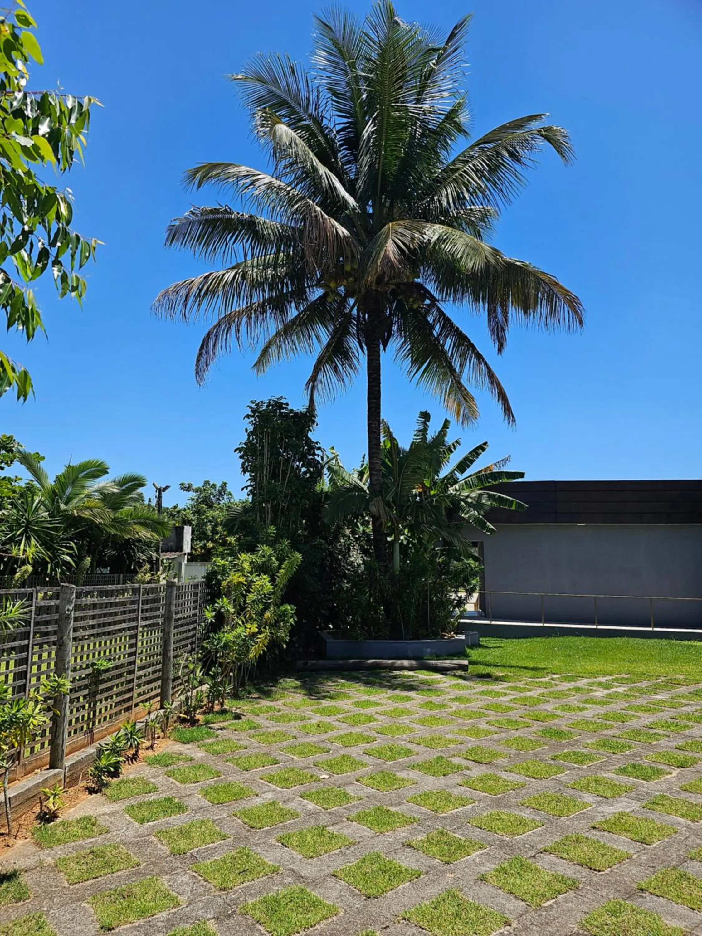 Garden view in HOTEL INDIANO