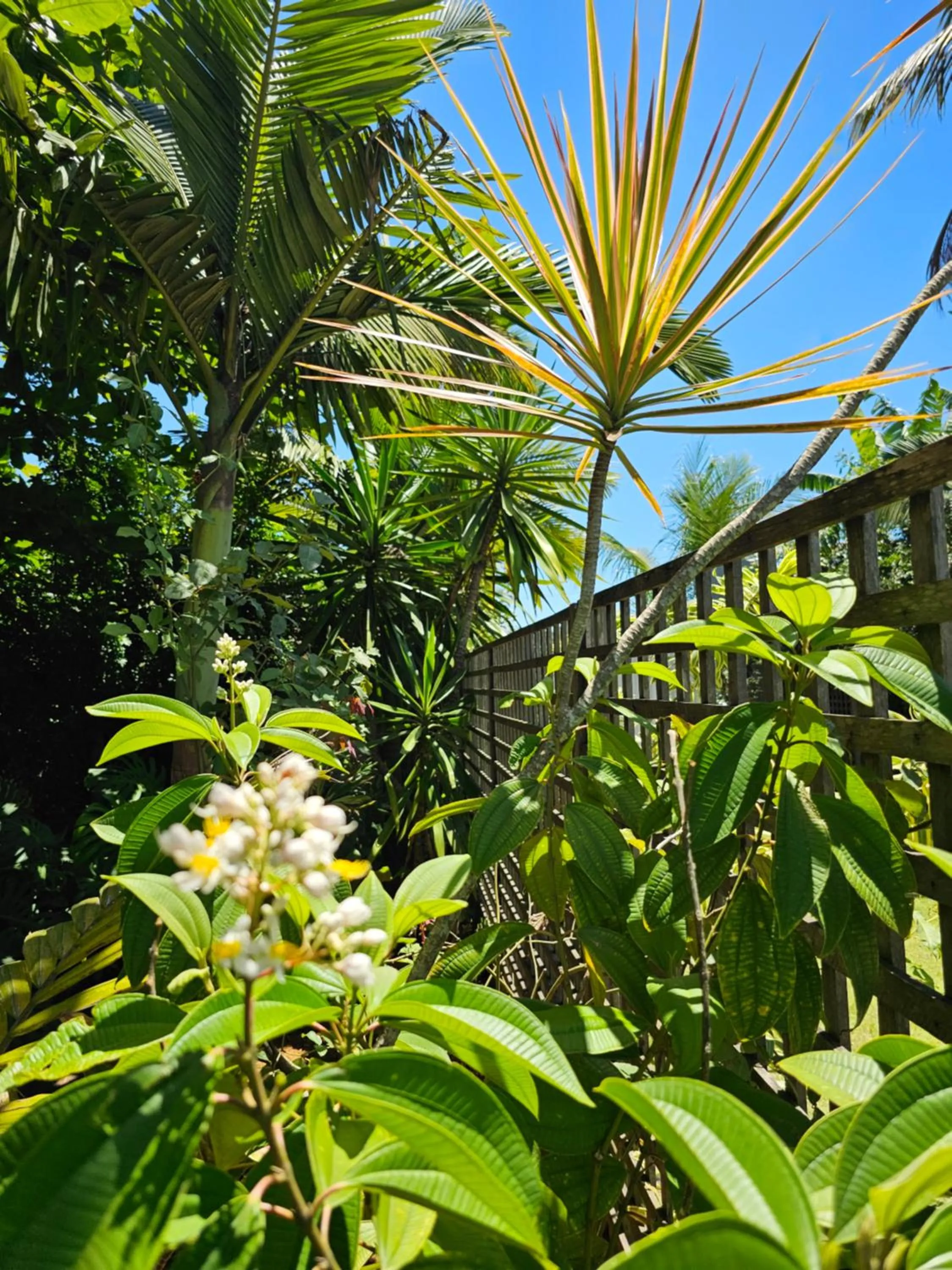 Spring in HOTEL INDIANO