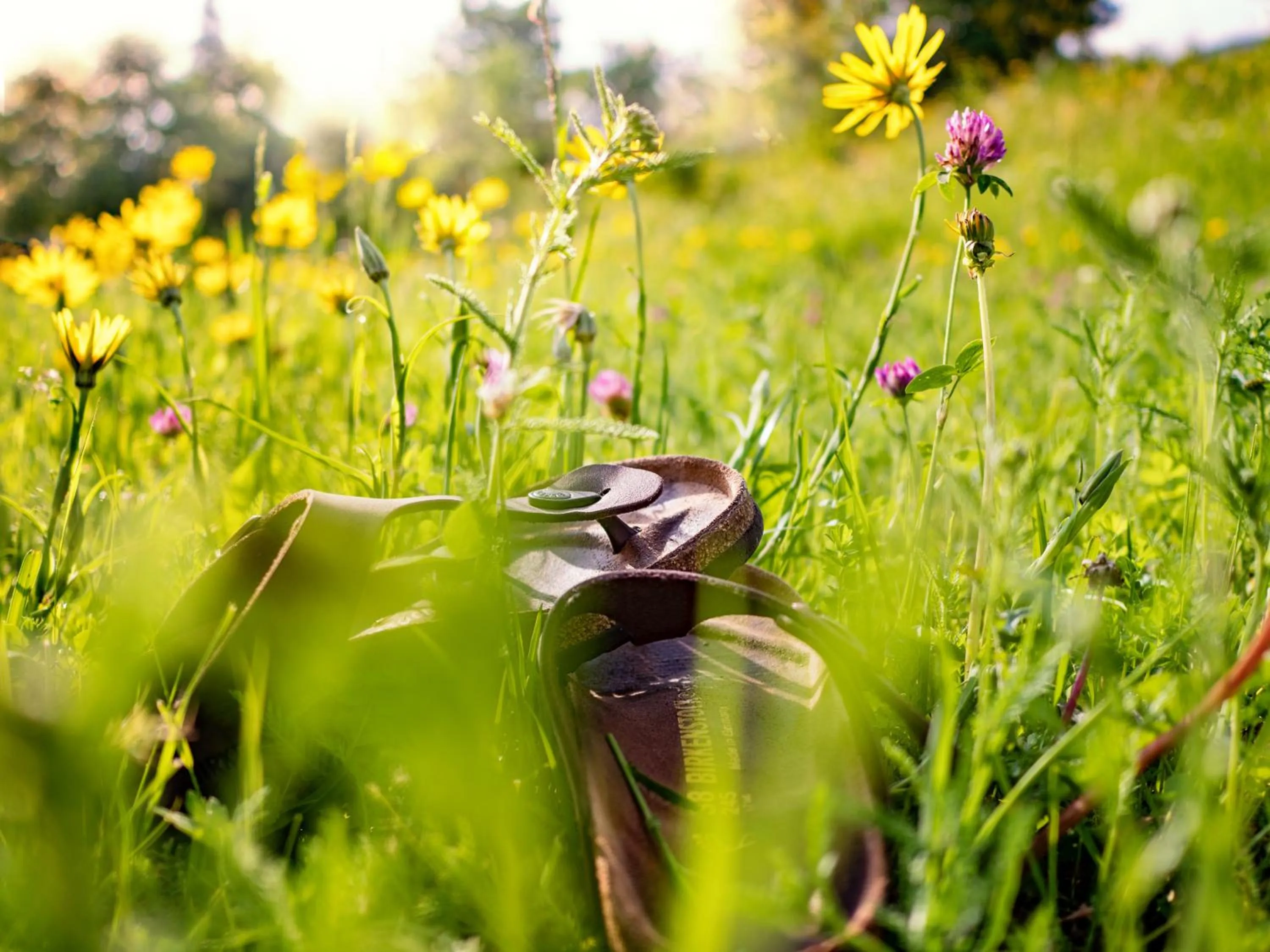 Neighbourhood in Der Brückenwirt