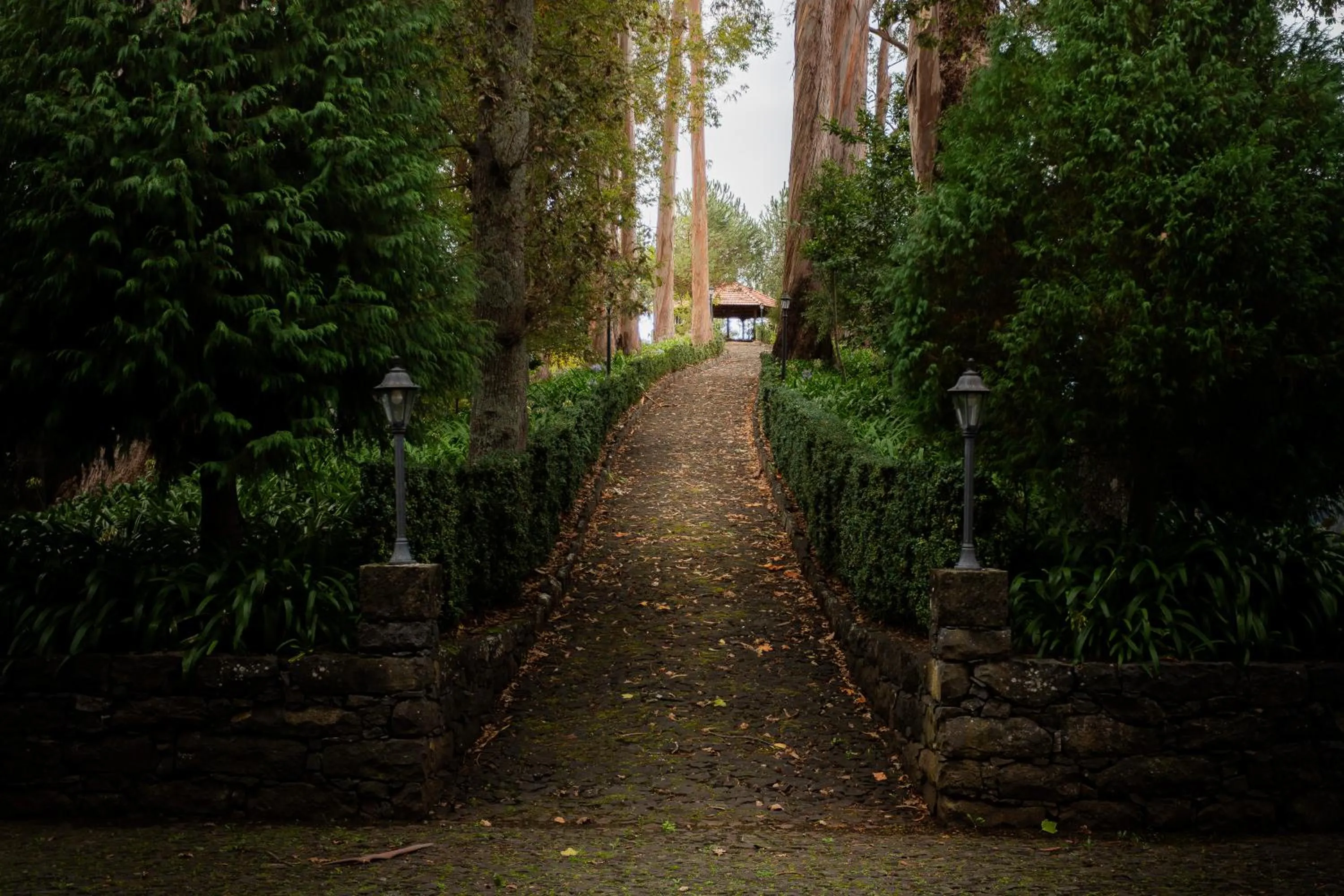Garden in BIO Hotel - Hotel Quinta da Serra