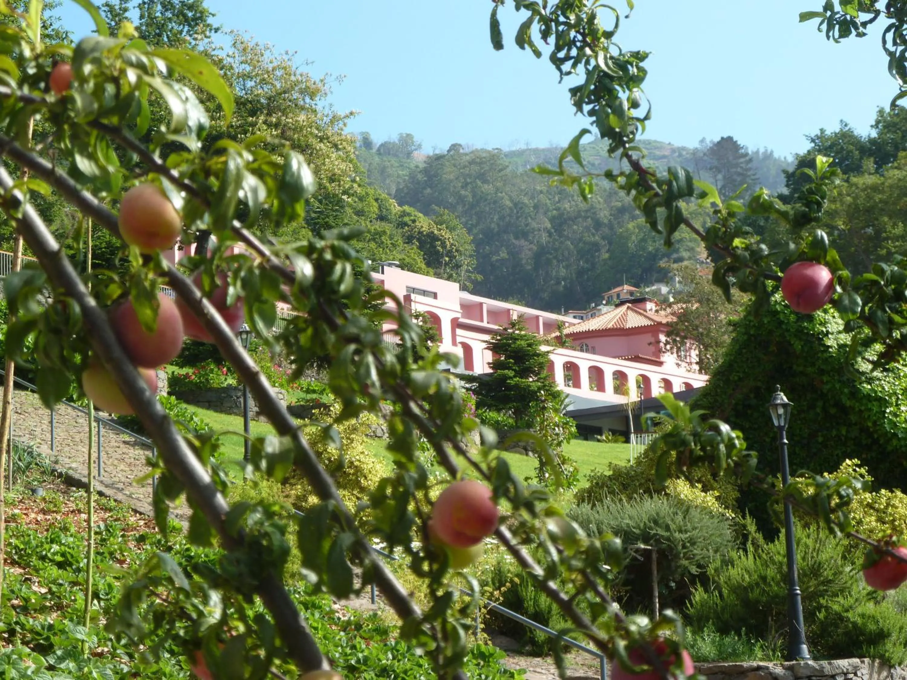 Facade/entrance in BIO Hotel - Hotel Quinta da Serra