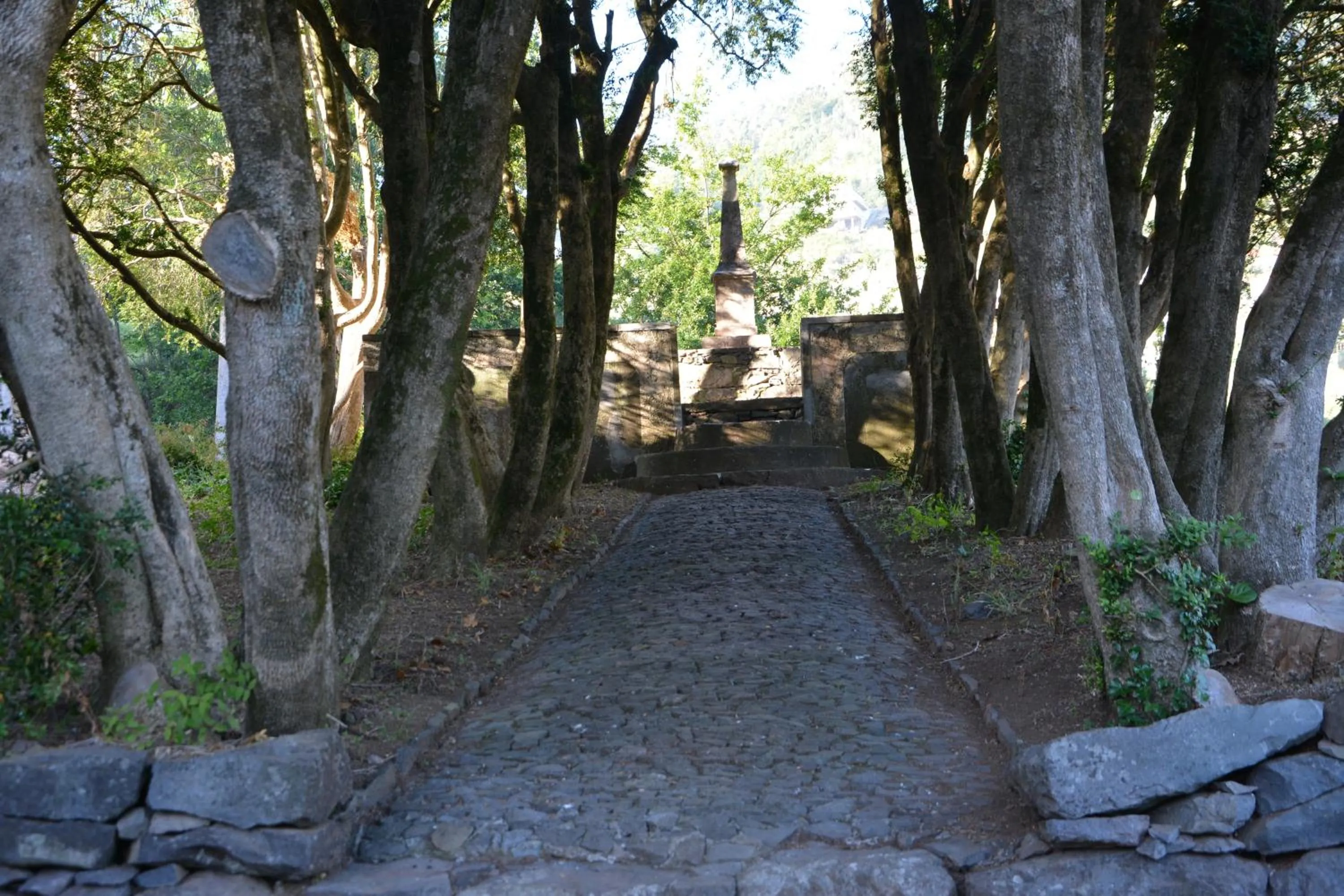 Garden in BIO Hotel - Hotel Quinta da Serra