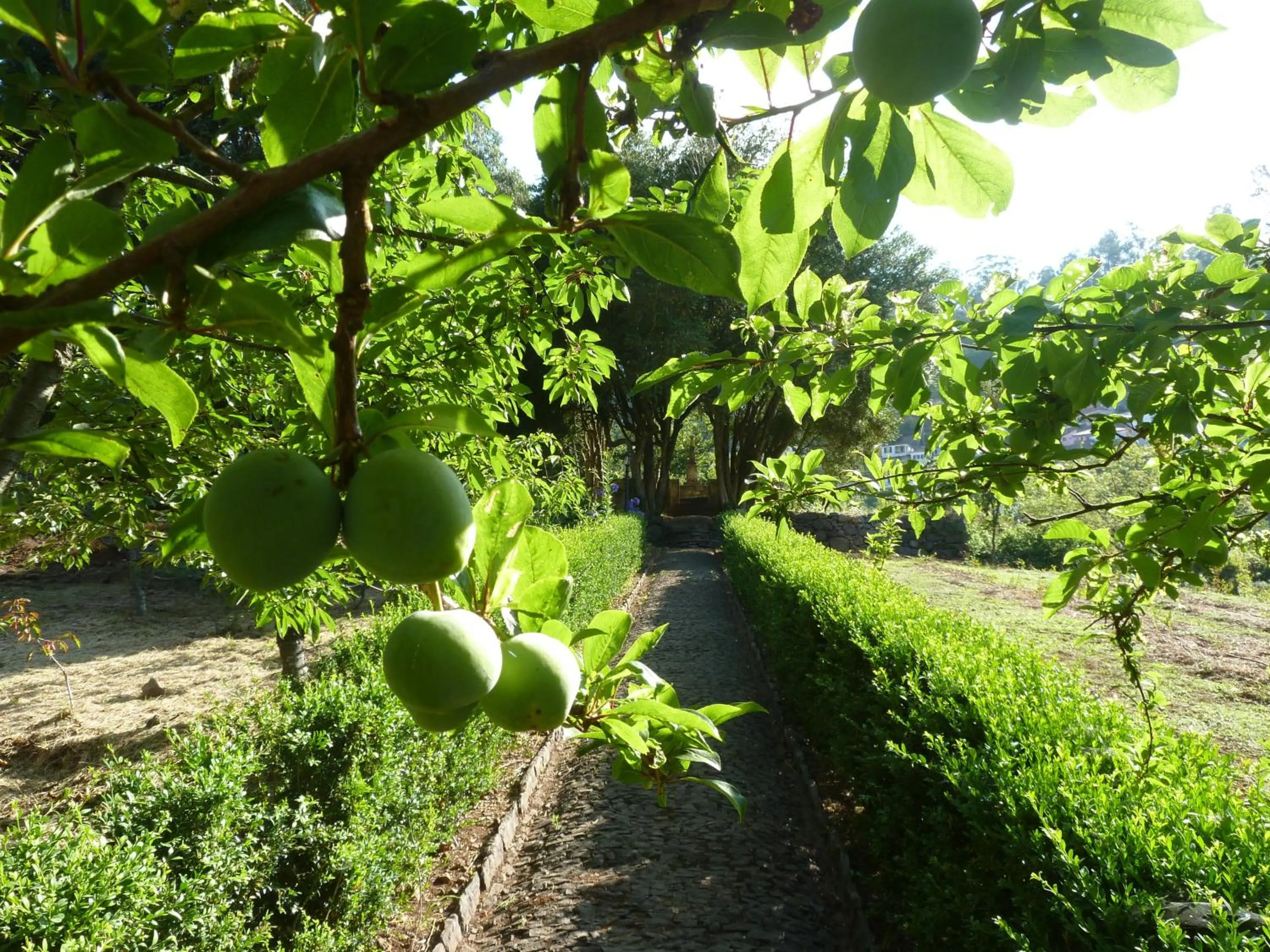 Garden in BIO Hotel - Hotel Quinta da Serra