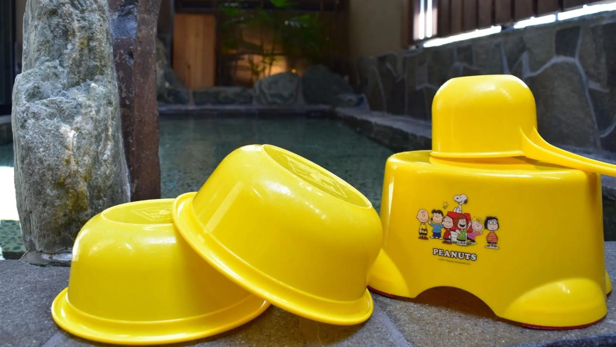 Dormy Inn Express Toyohashi