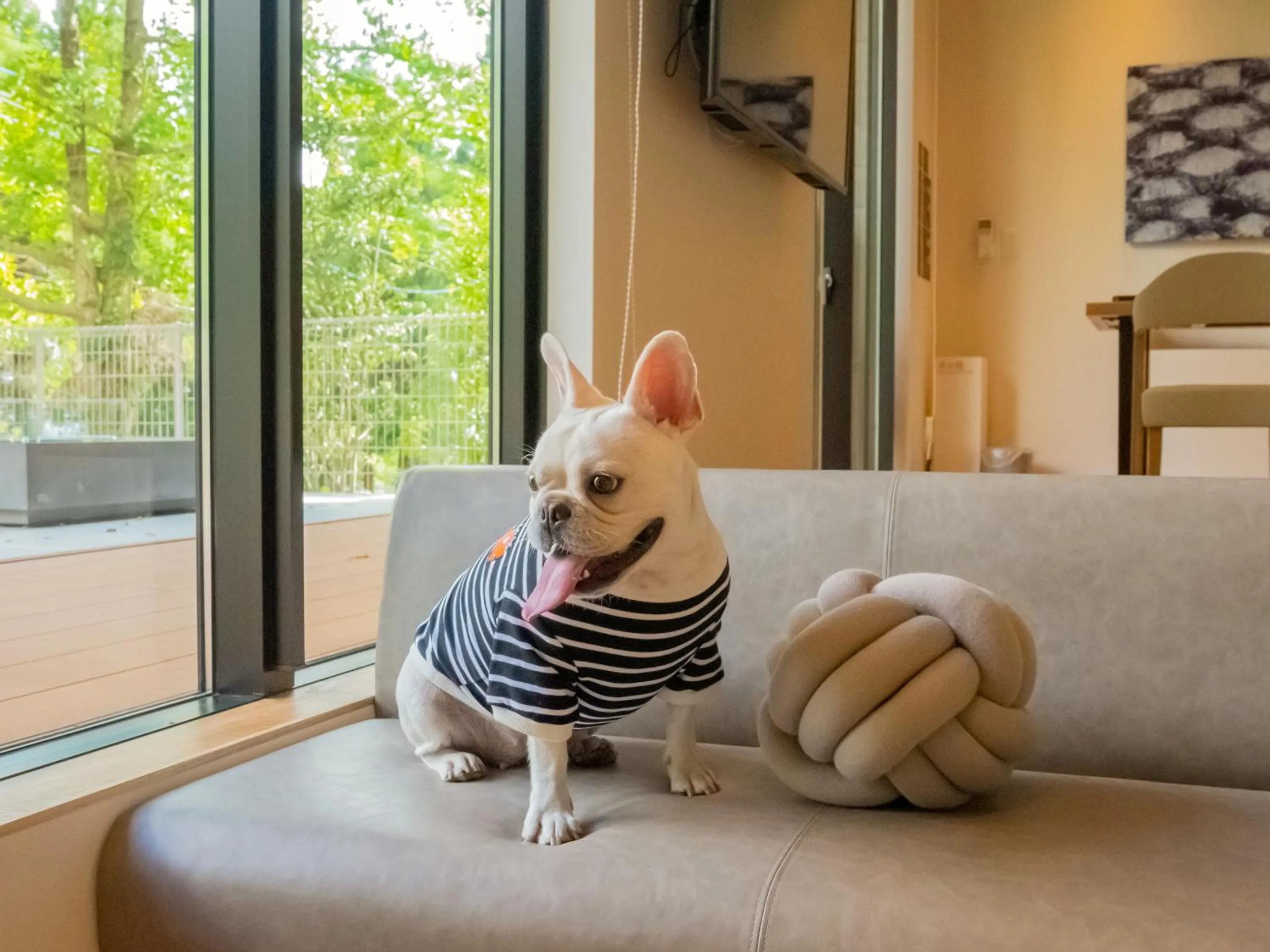 Pets in Rakuten STAY VILLA Aso Kurokawa