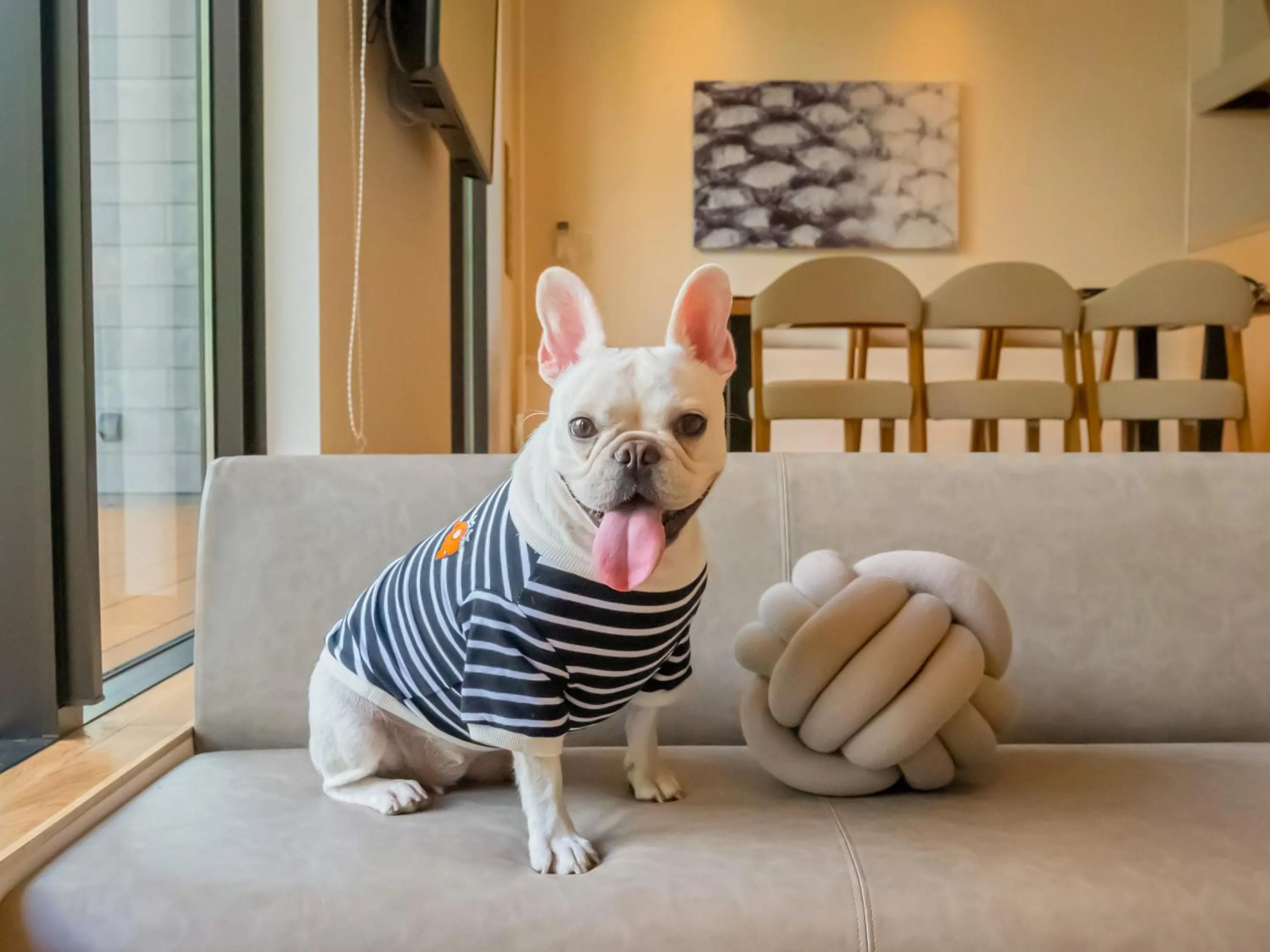 Pets in Rakuten STAY VILLA Aso Kurokawa