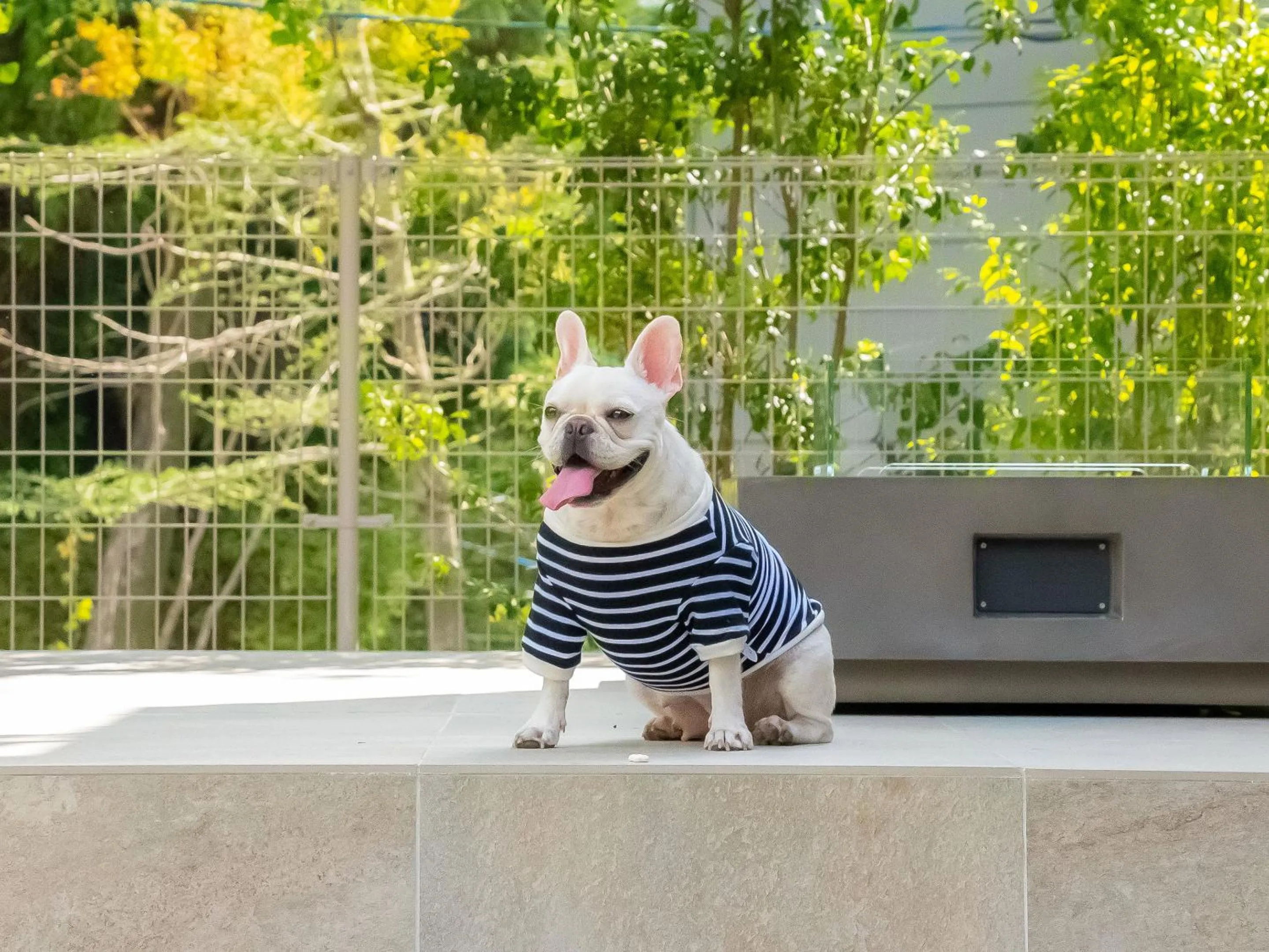 Pets in Rakuten STAY VILLA Aso Kurokawa