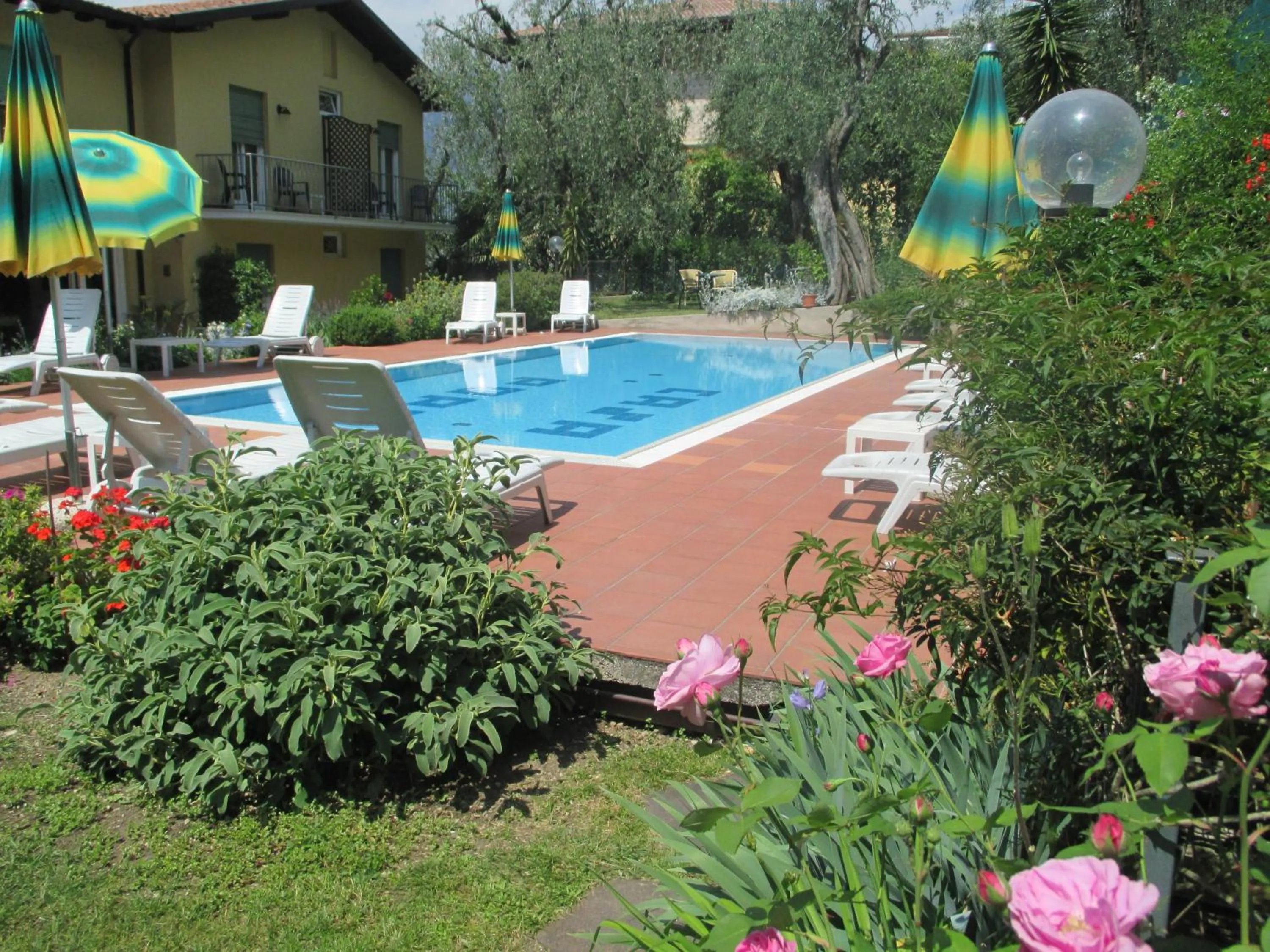 Swimming pool in Hotel Casa Popi