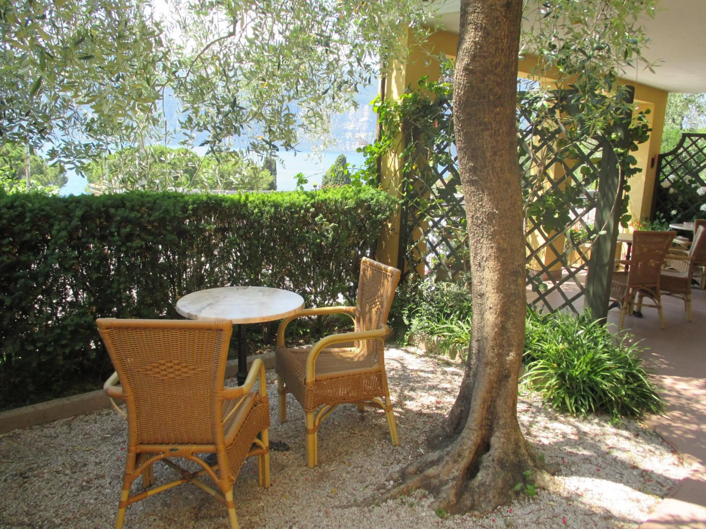 Patio in Hotel Casa Popi