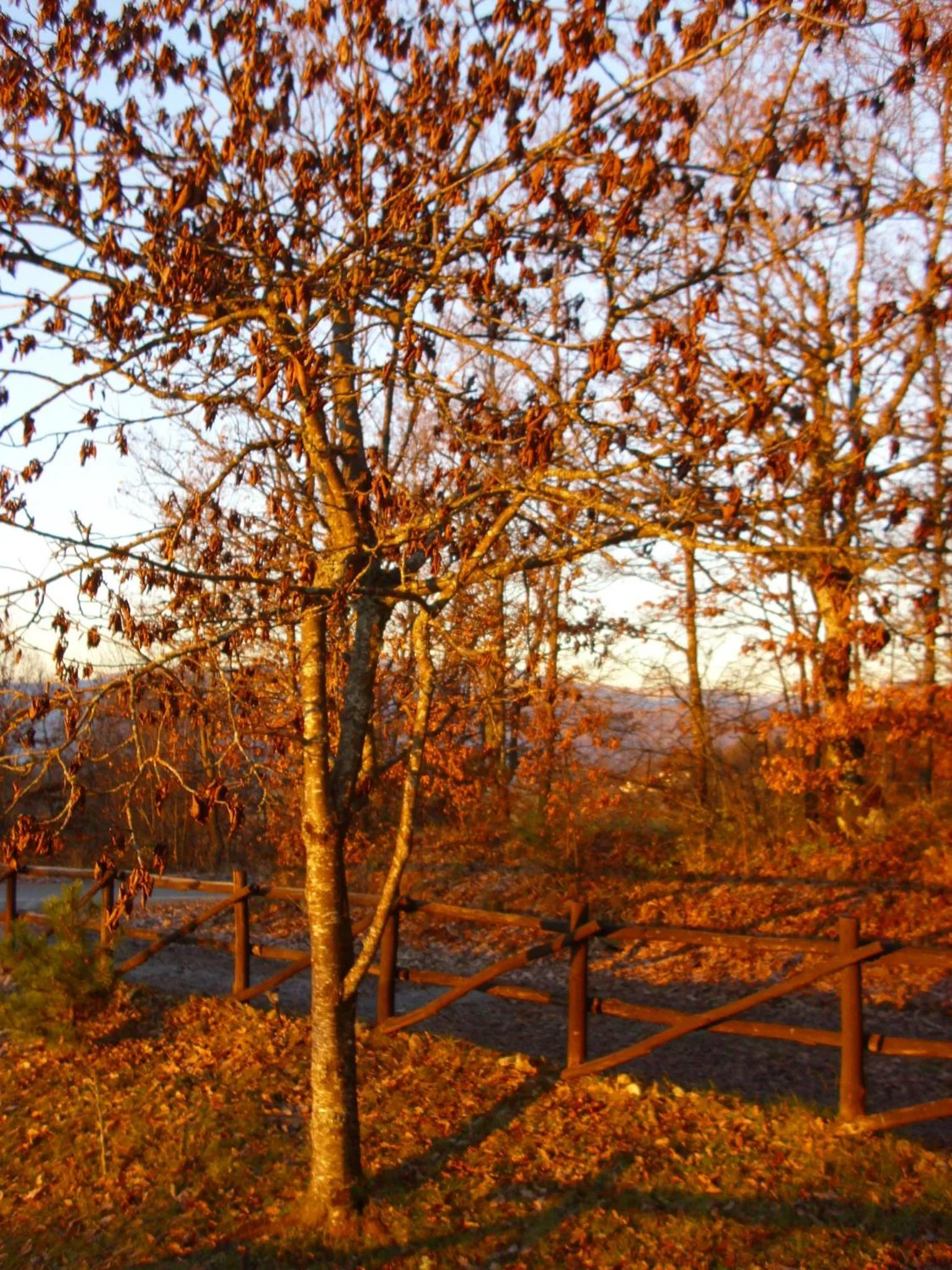 Autumn in Tolasudolsa Rooms, Breakfast & Mountain Bike