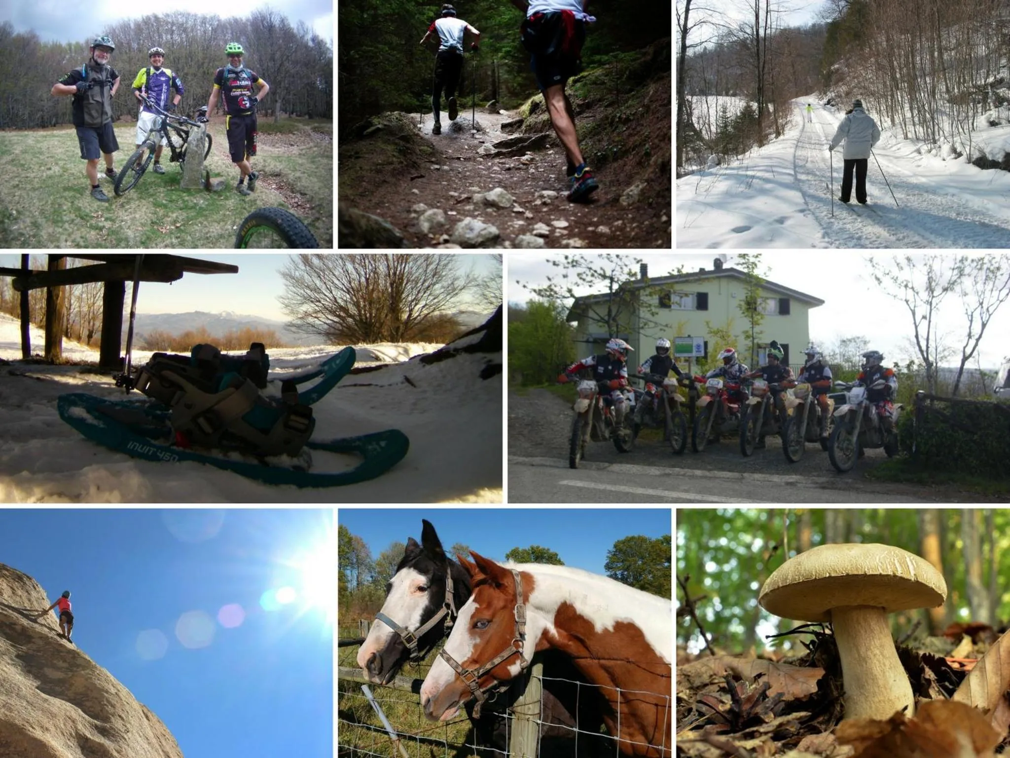 BBQ facilities in Tolasudolsa Rooms, Breakfast & Mountain Bike