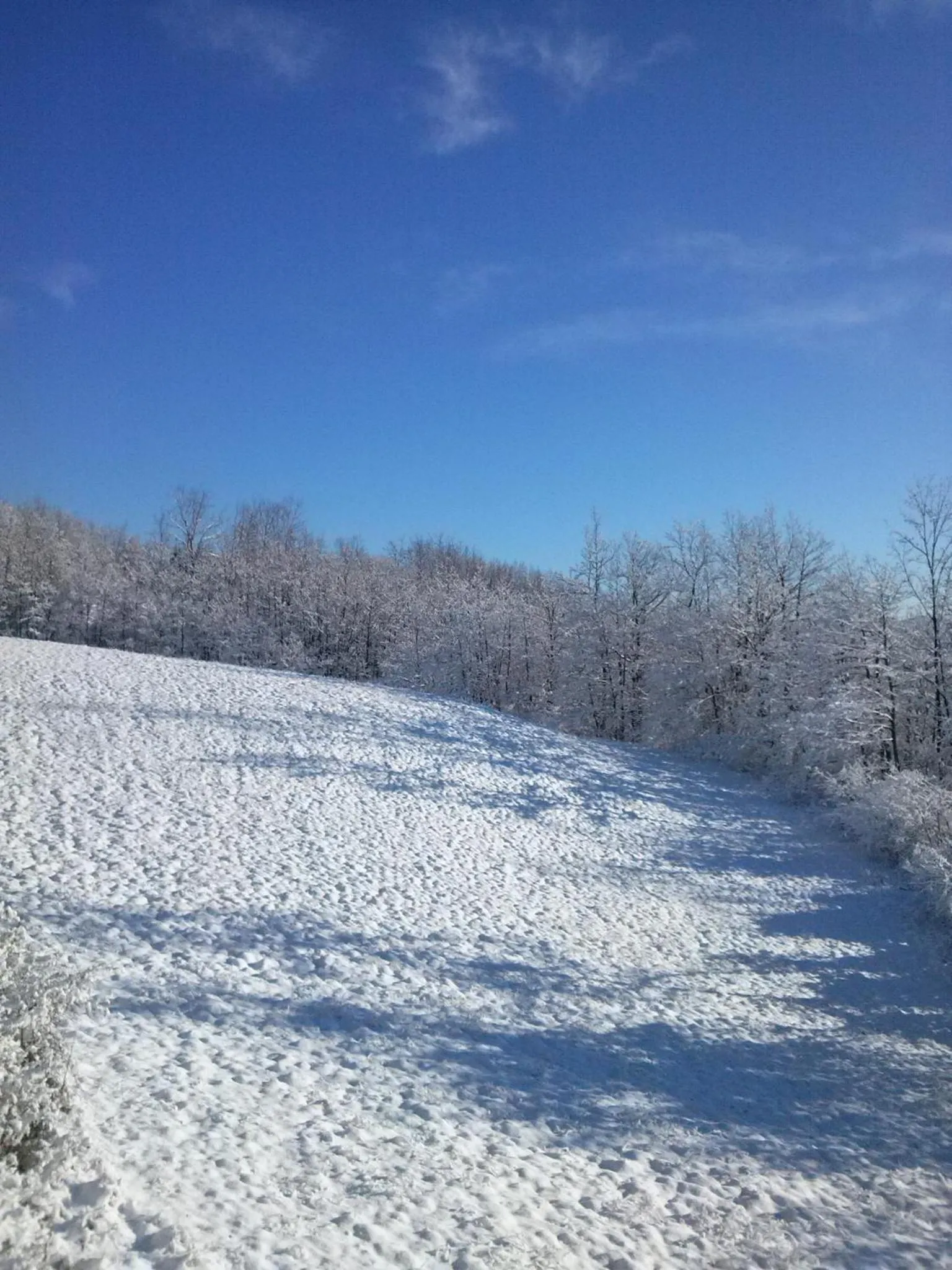 Winter in Tolasudolsa Rooms, Breakfast & Mountain Bike