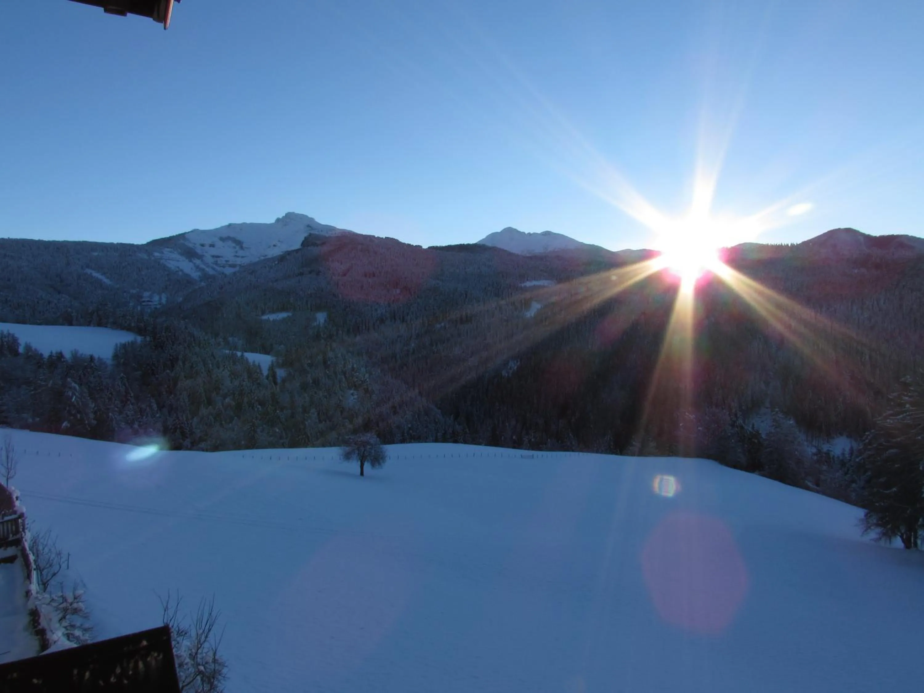 Sunrise in Schornhof