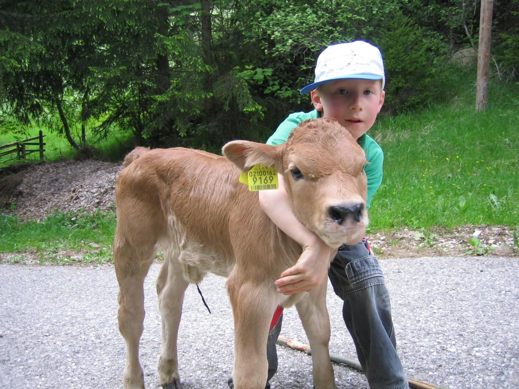 Pets in Schornhof
