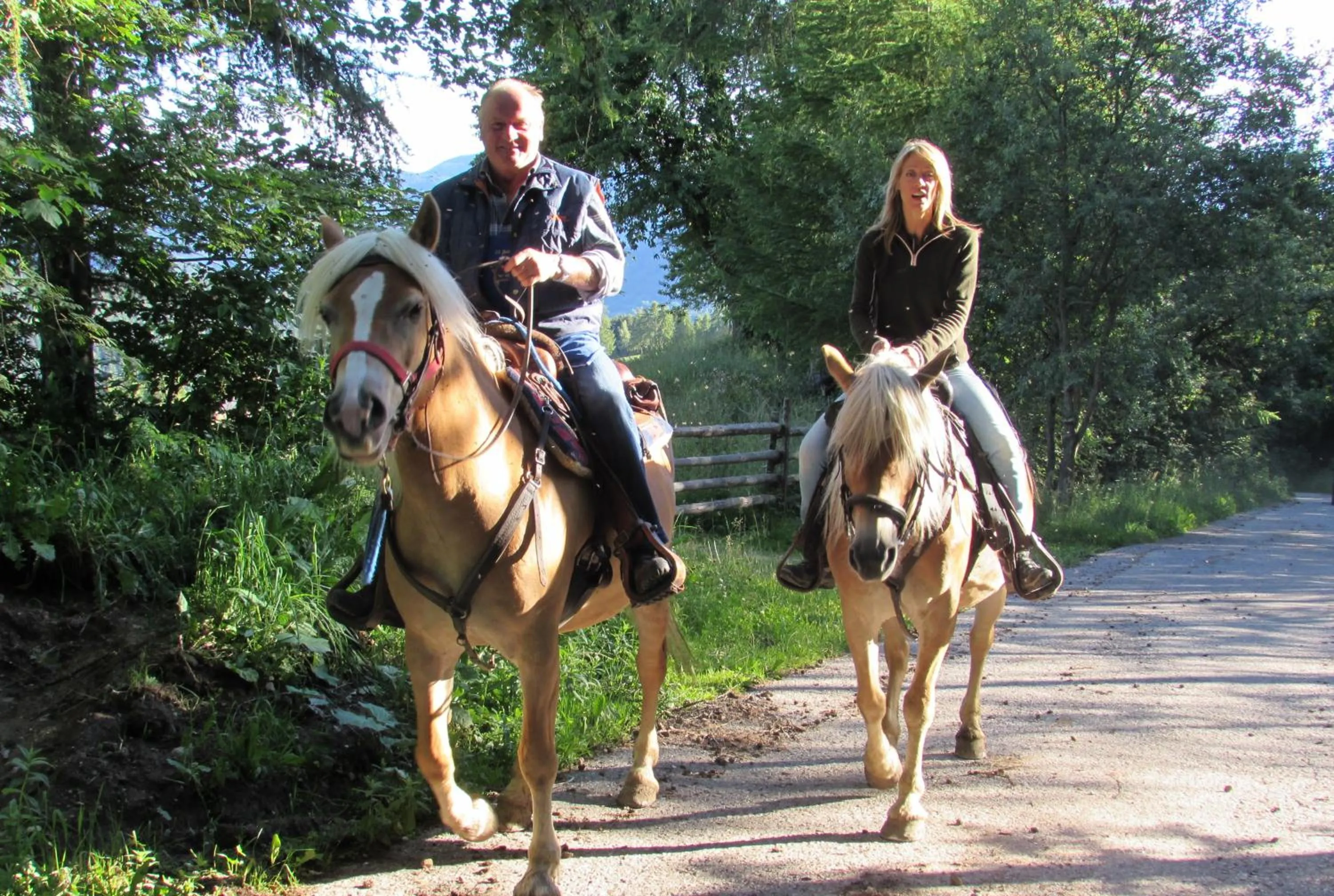 Horse-riding in Schornhof