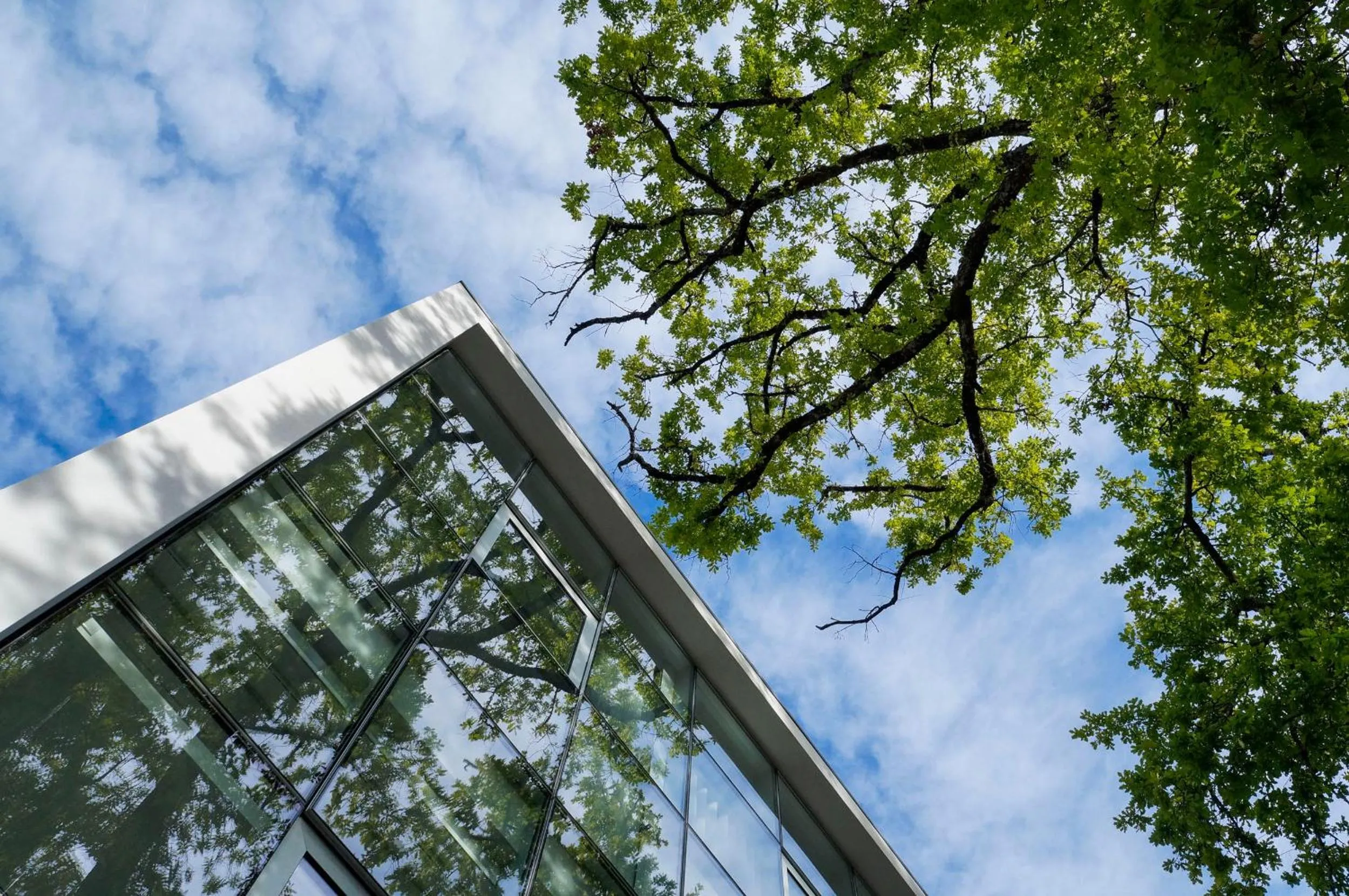 Facade/entrance in Boticas Hotel Art & SPA