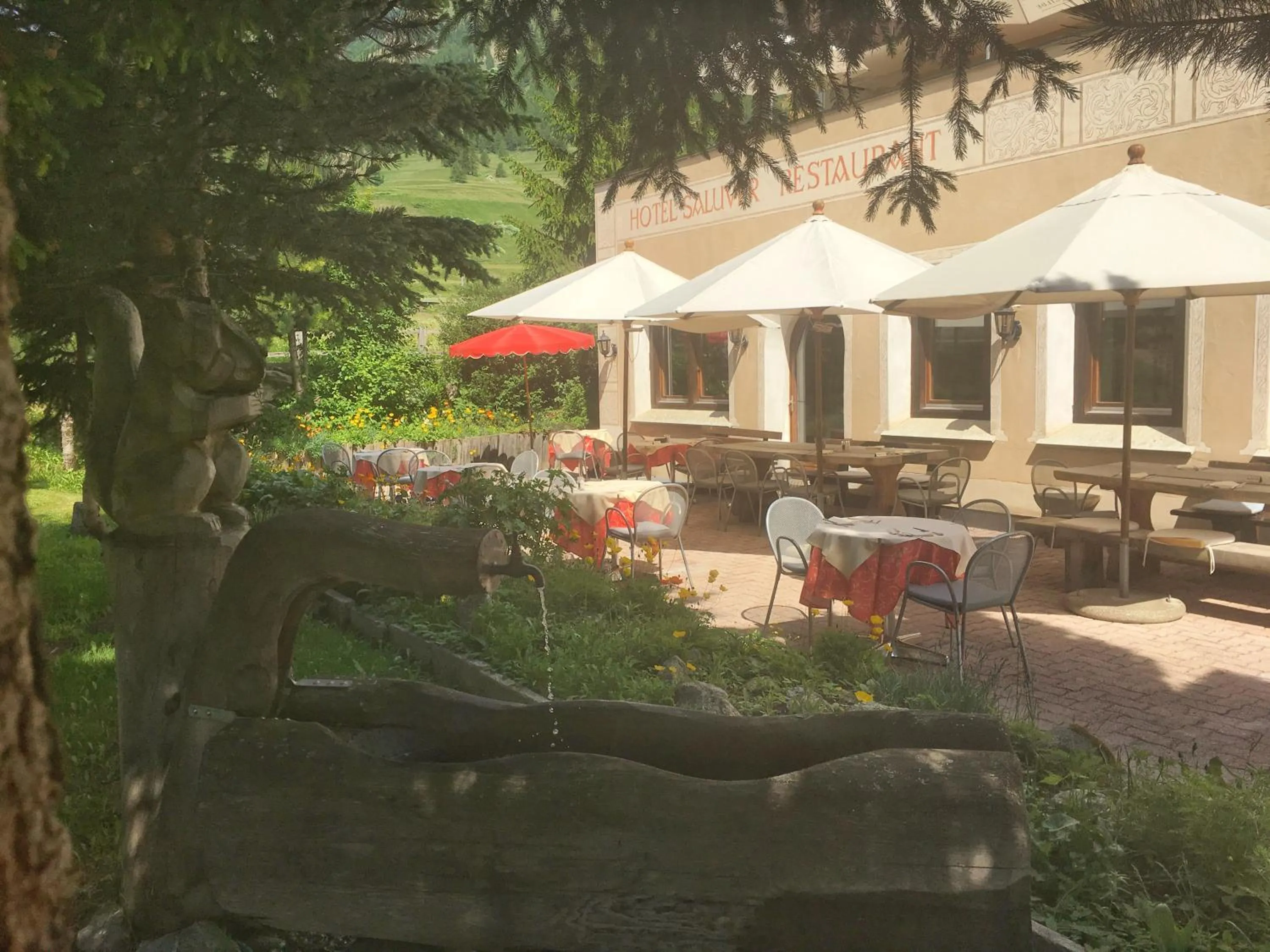 Garden in Hotel Saluver