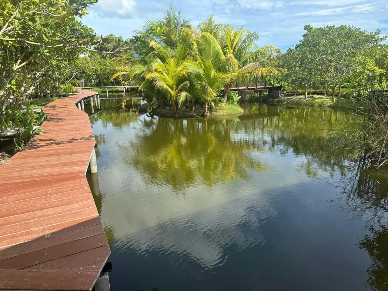 Natural landscape in The Beatles Lagoon