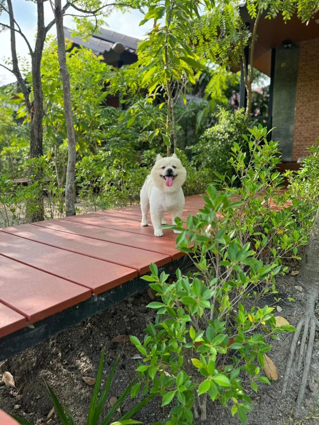 Property building in The Beatles Lagoon