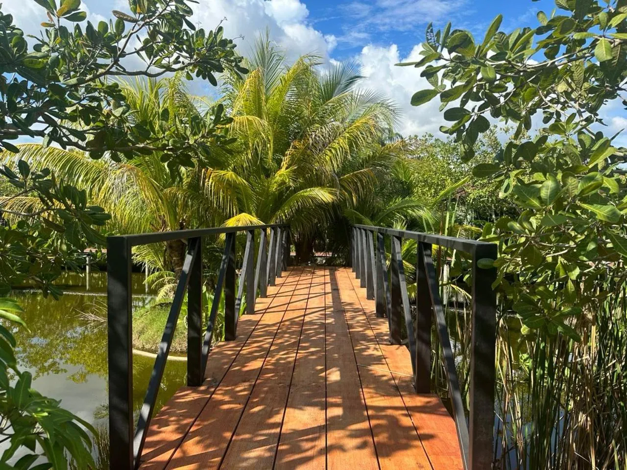 Natural landscape in The Beatles Lagoon