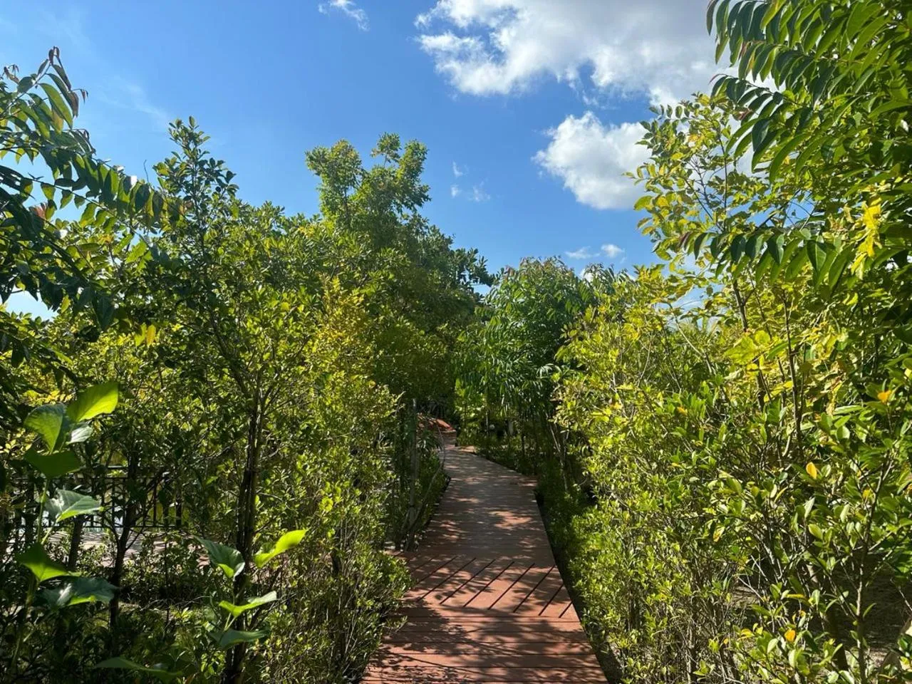 Natural landscape in The Beatles Lagoon