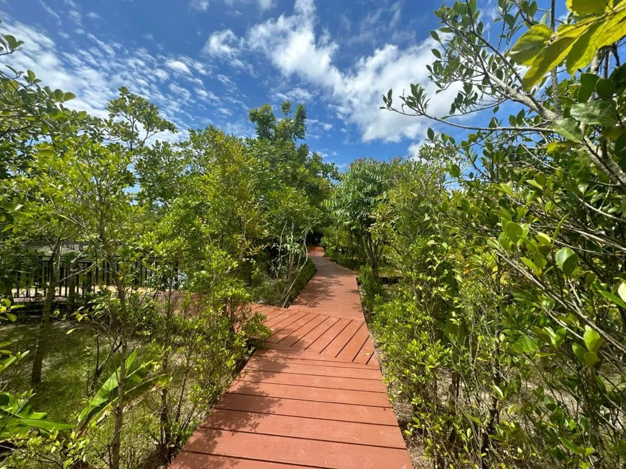 Day in The Beatles Lagoon