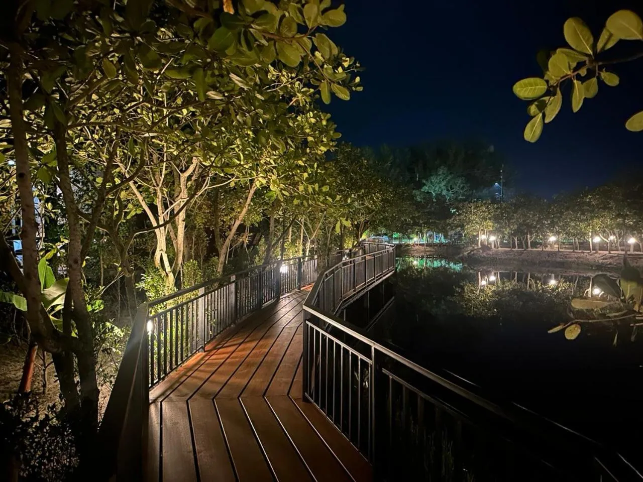 Night in The Beatles Lagoon