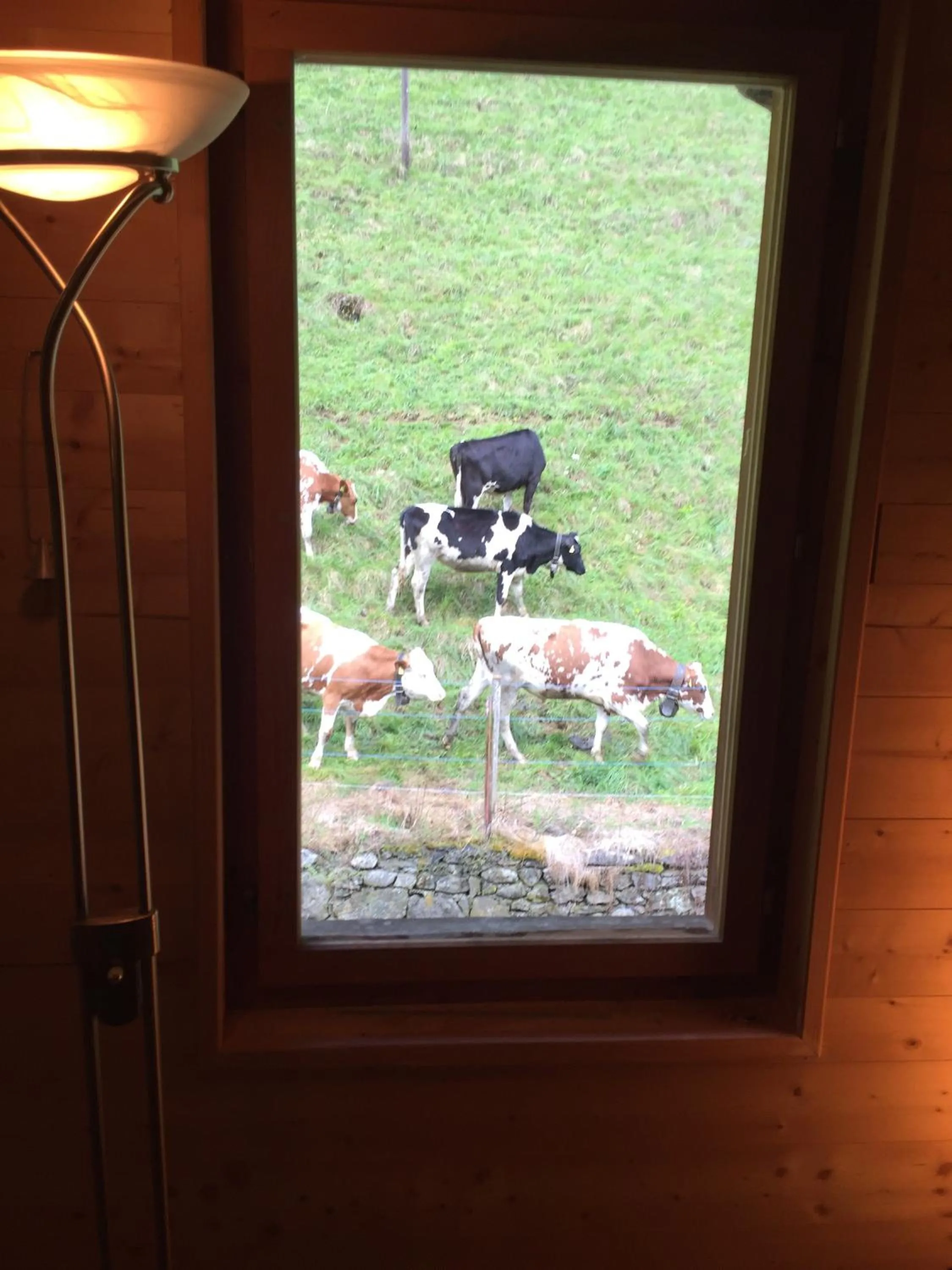 View (from property/room) in Spacious Swiss Alpine Chalet for Nature Lovers
