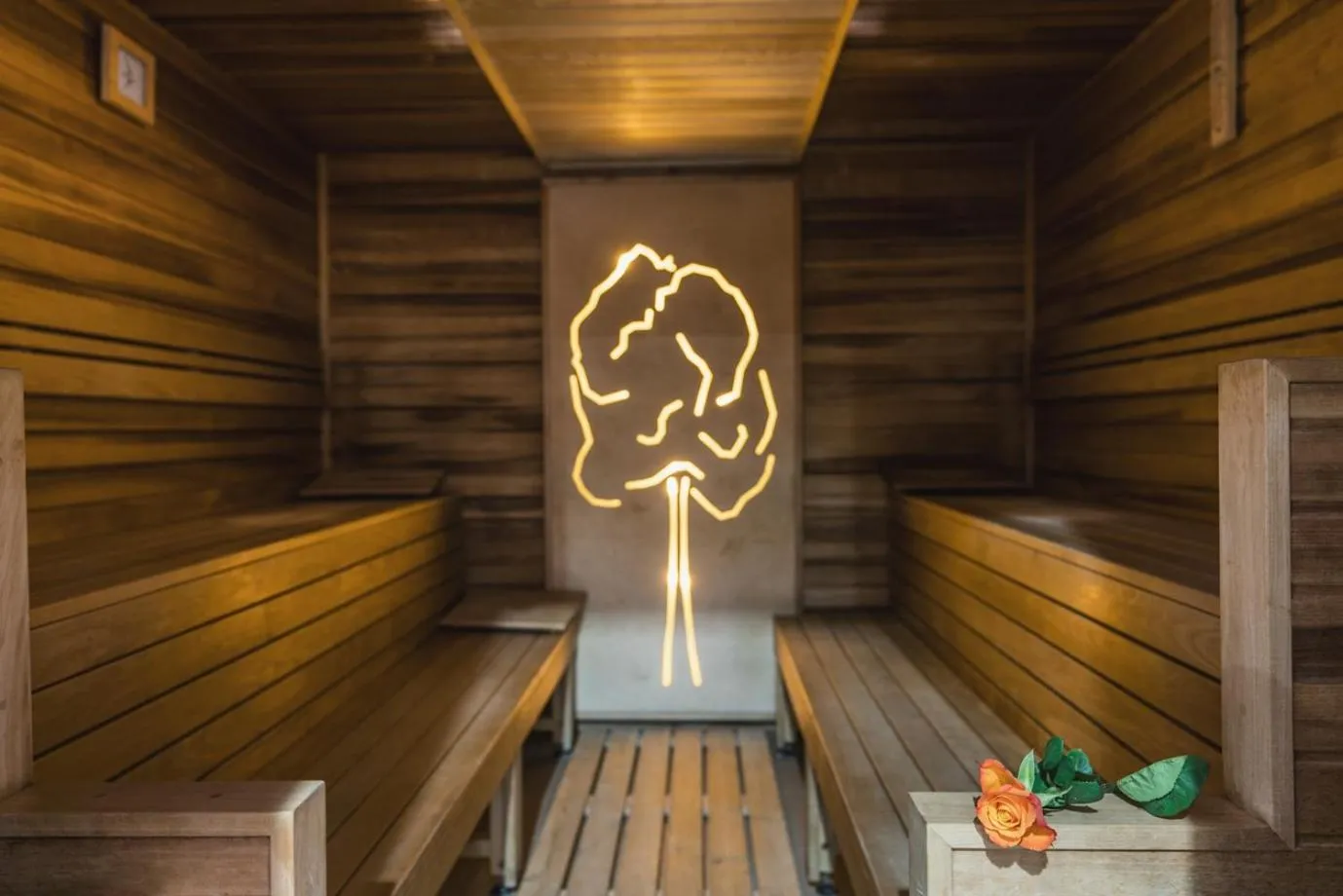 Sauna in Barack Thermal Hotel and Spa
