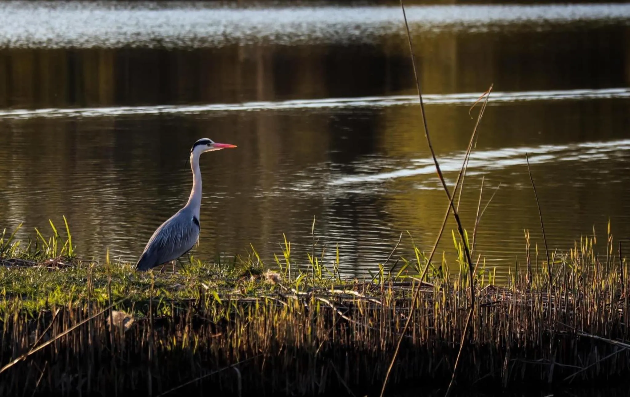 Natural landscape in Barack Thermal Hotel and Spa