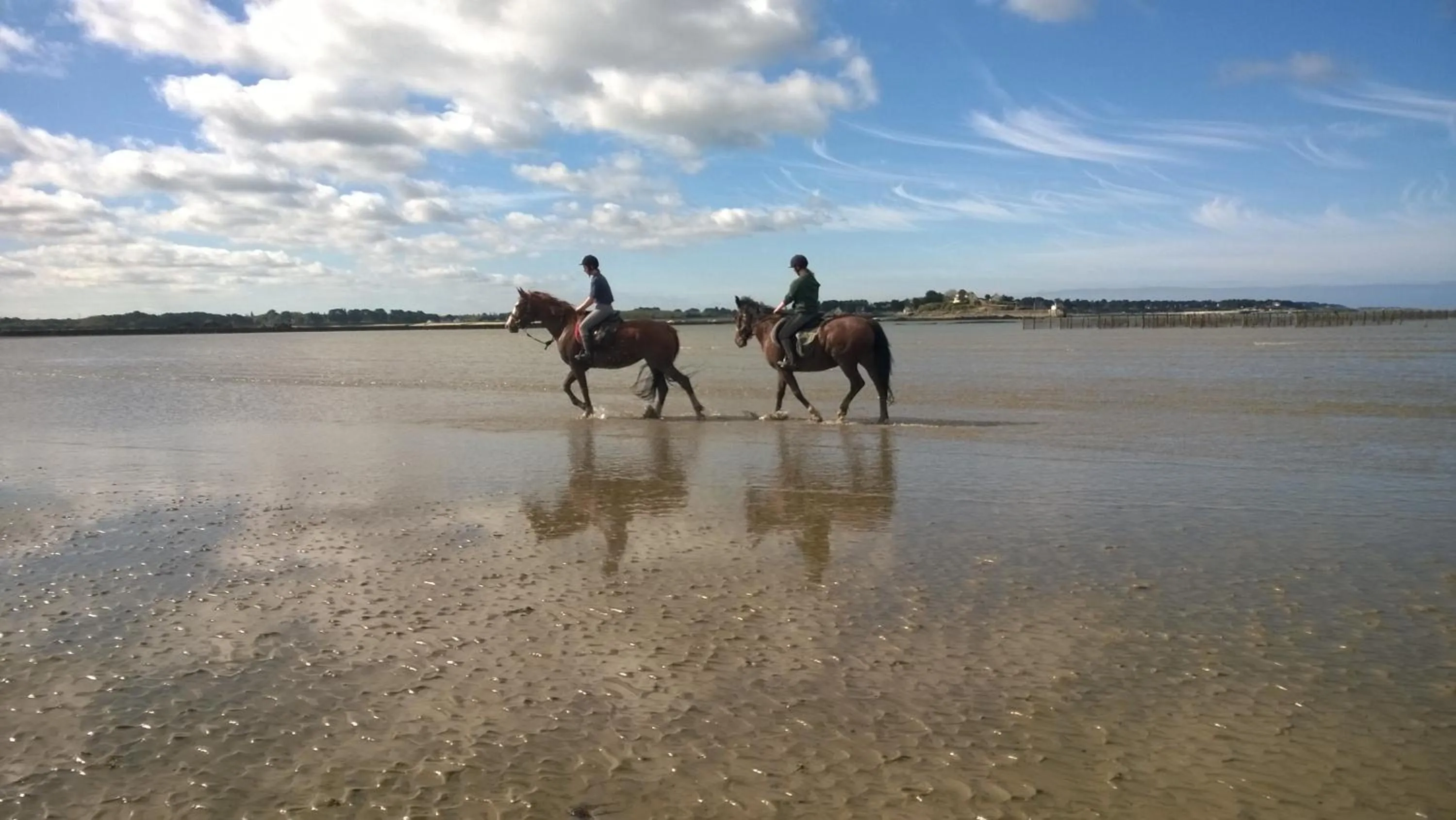 Horse-riding in Le Jardin aux Oiseaux