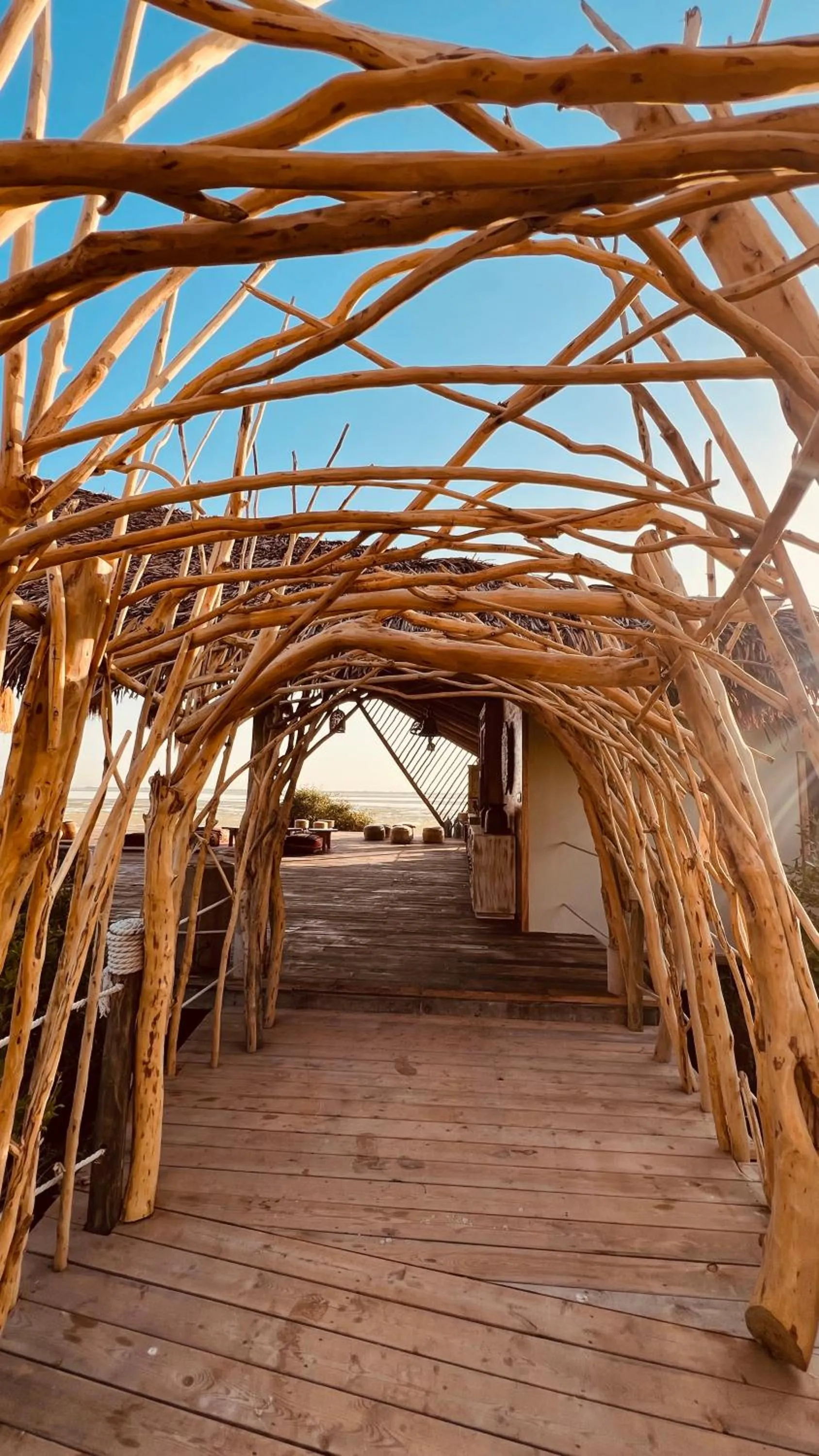 Activities in Casa Mikoko Resort