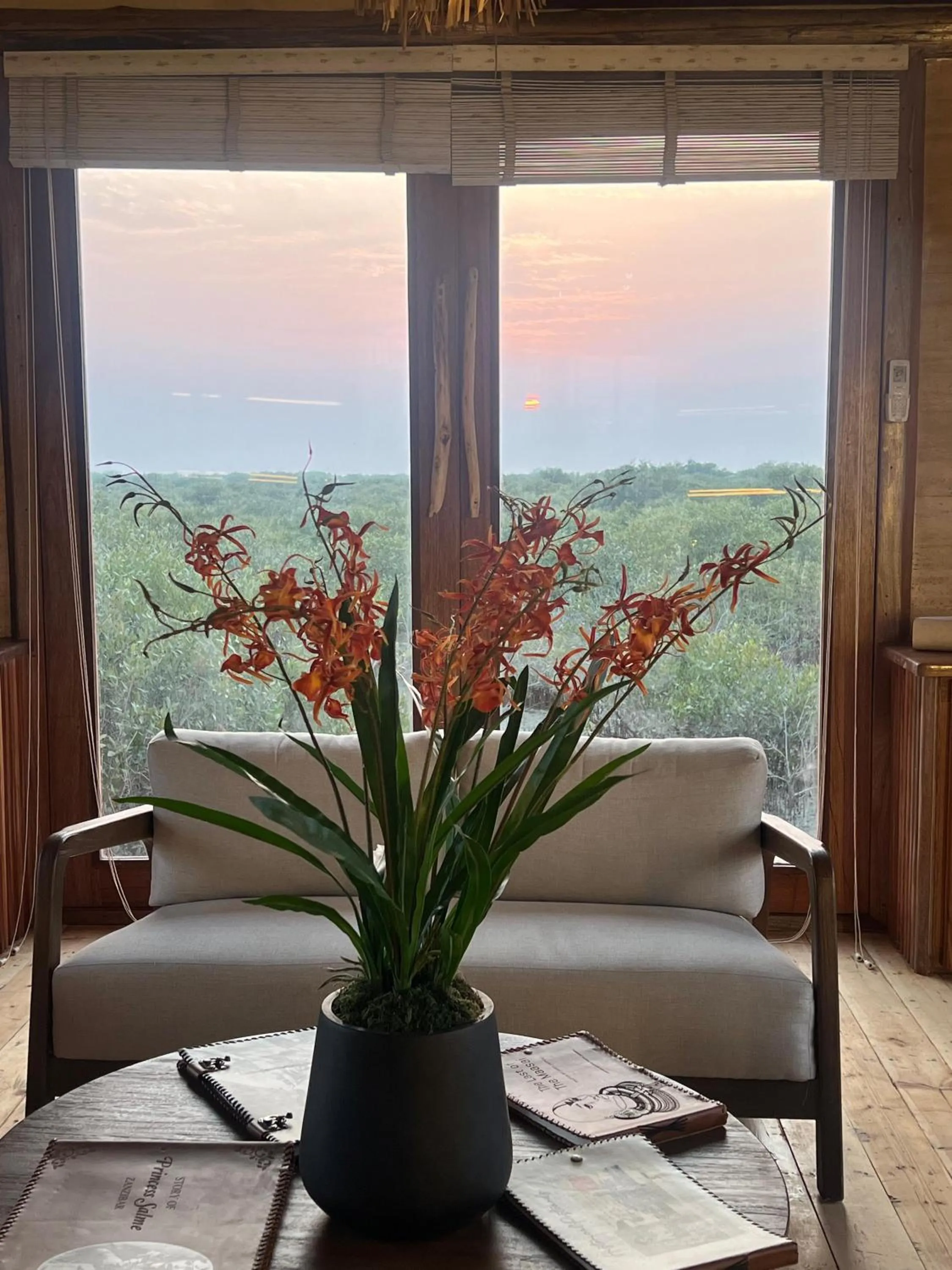 Property building in Casa Mikoko Resort