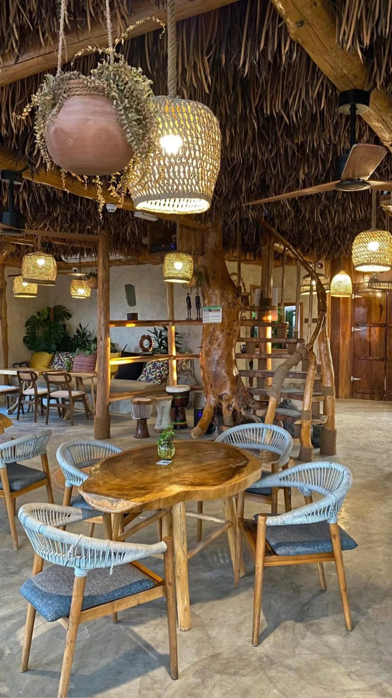 Restaurant/places to eat in Casa Mikoko Resort